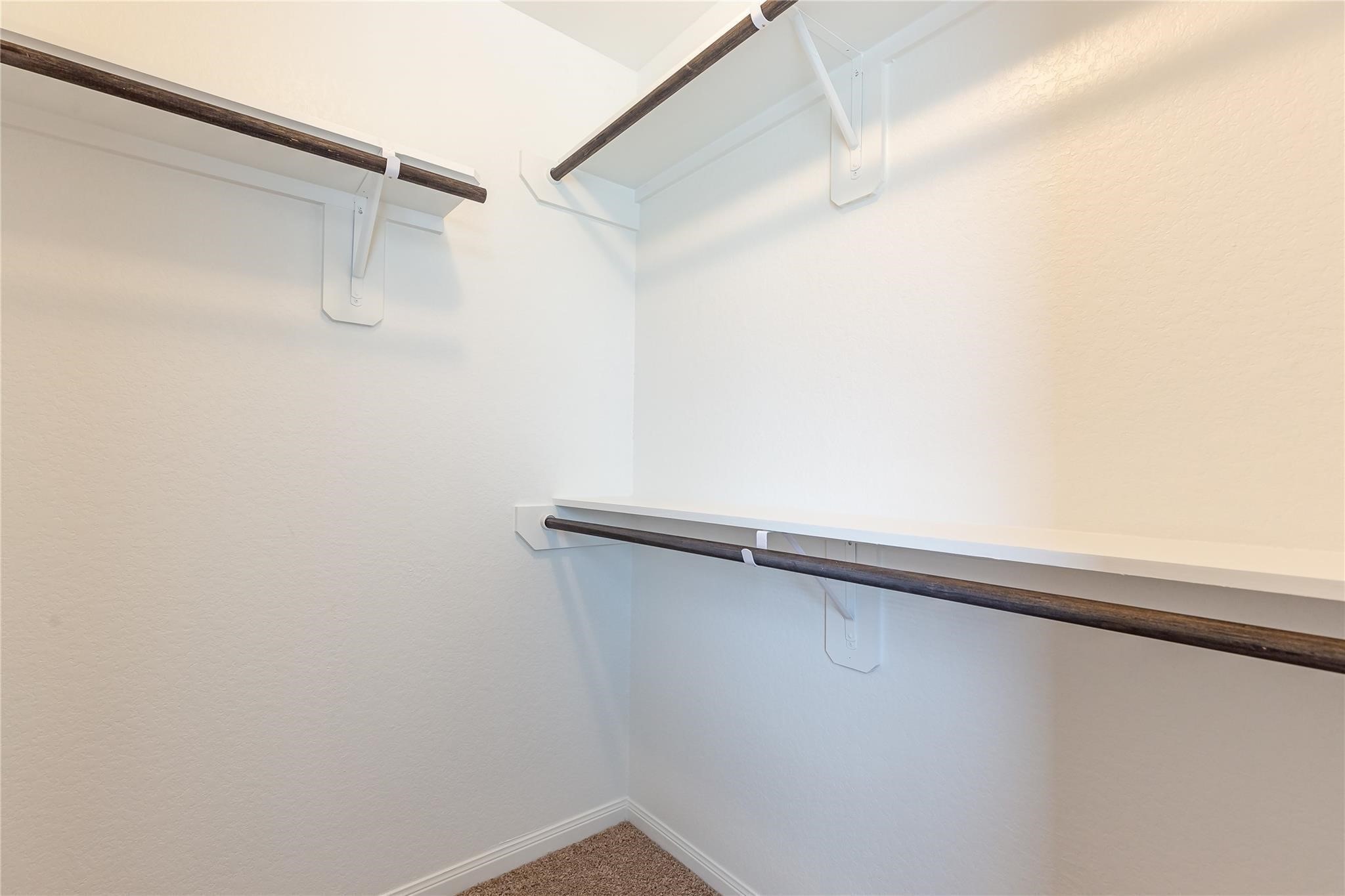 24630 Bastiani Canvas Lane Property Photo 32
