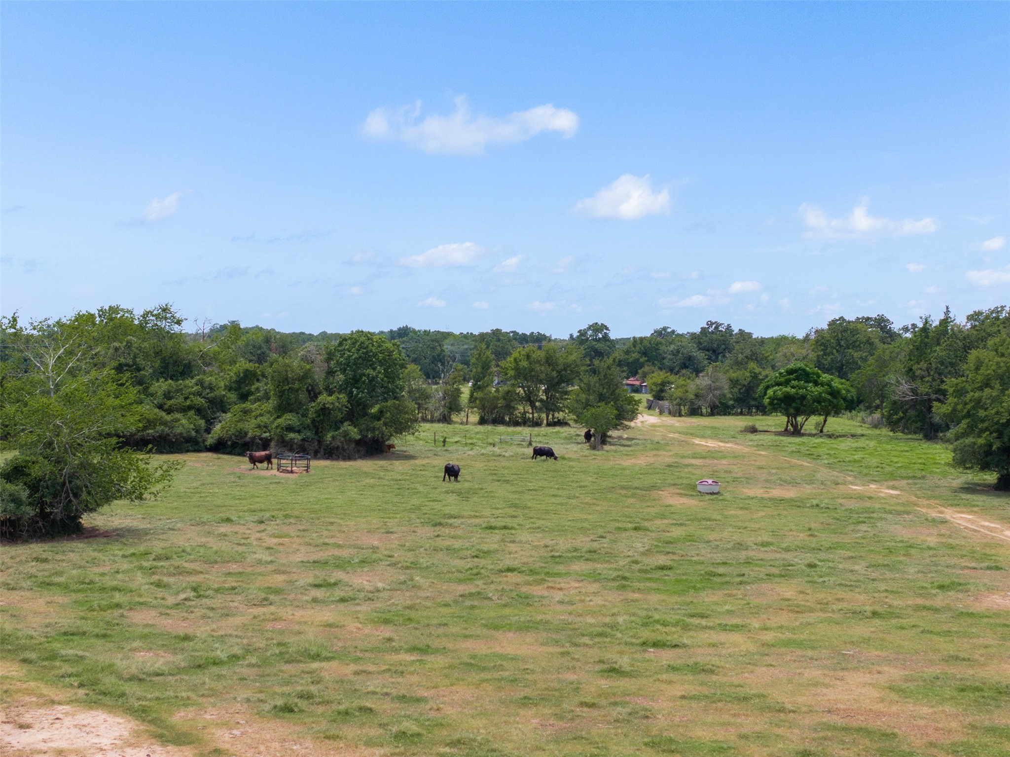 450 Ac Fm 974 Property Photo 2