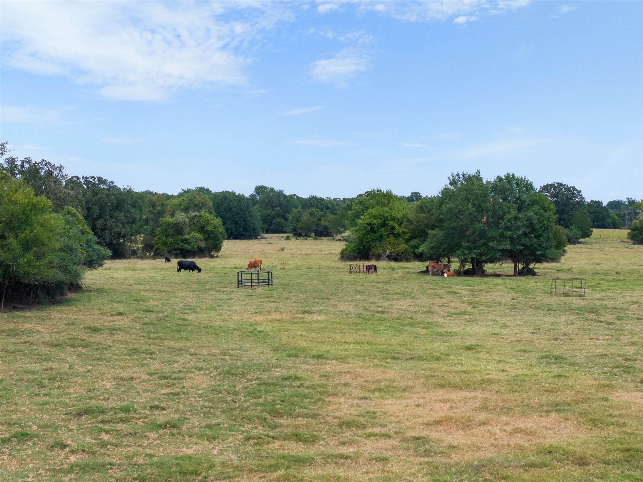 450 Ac Fm 974 Property Photo 5