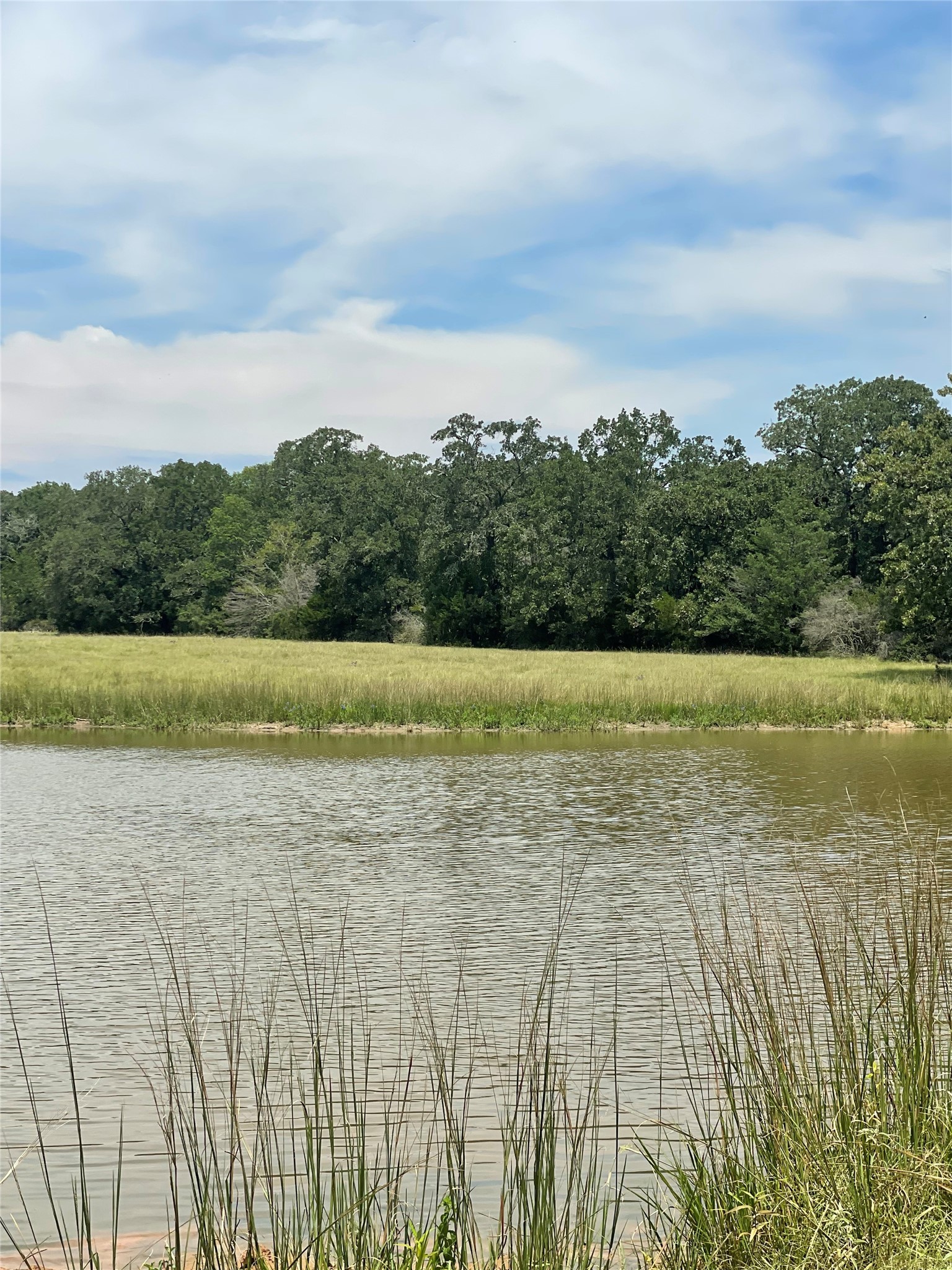 450 Ac Fm 974 Property Photo 8