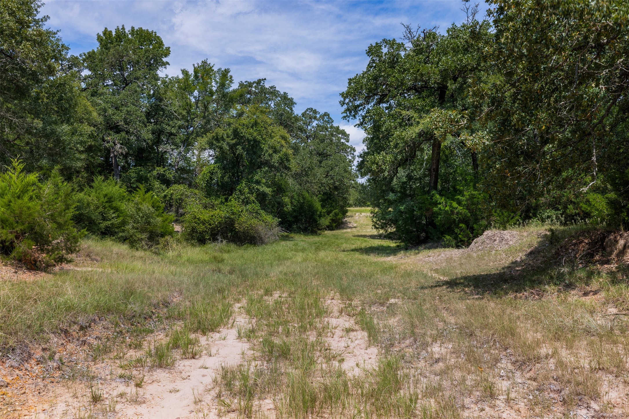 450 Ac Fm 974 Property Photo 10