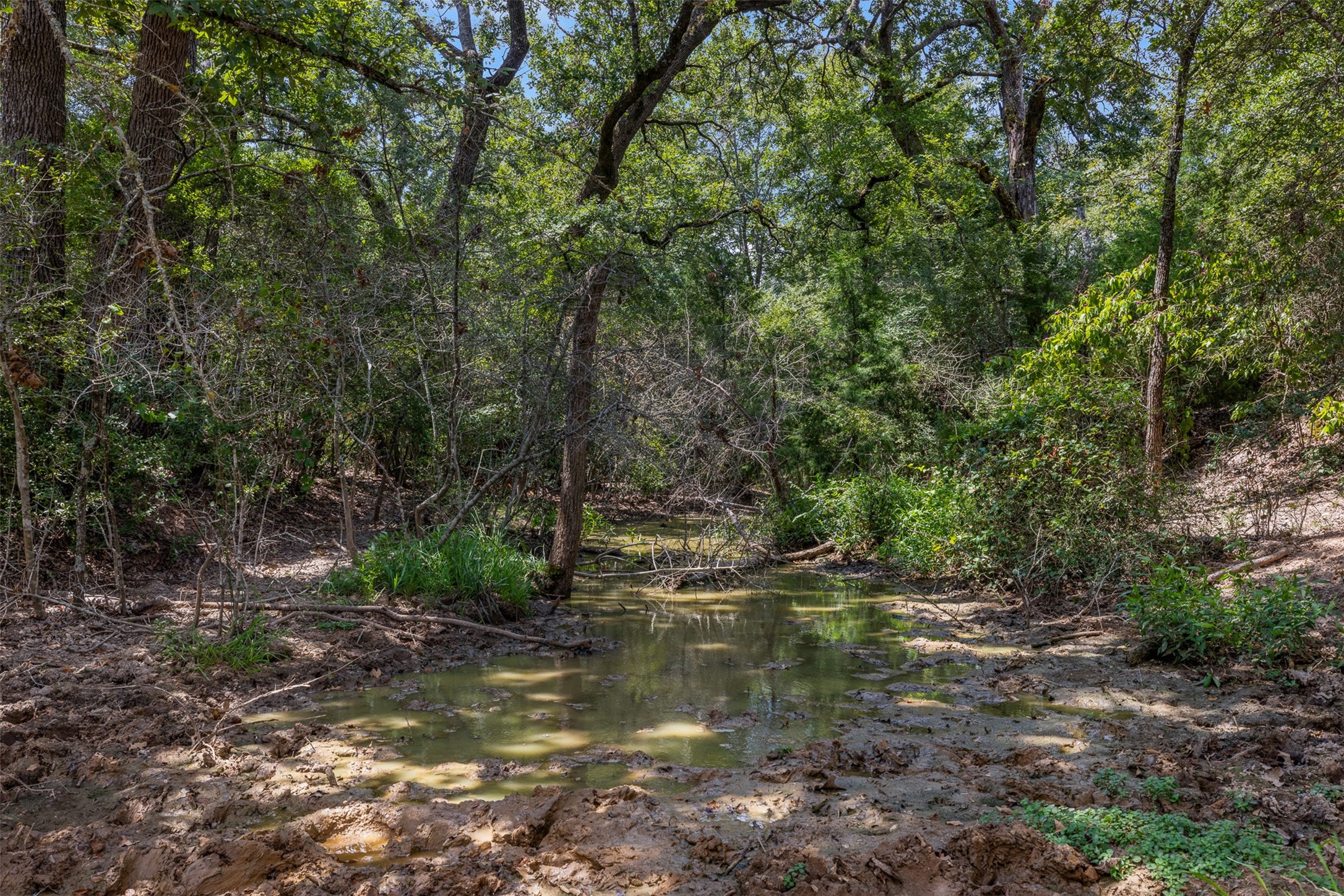 450 Ac Fm 974 Property Photo 11