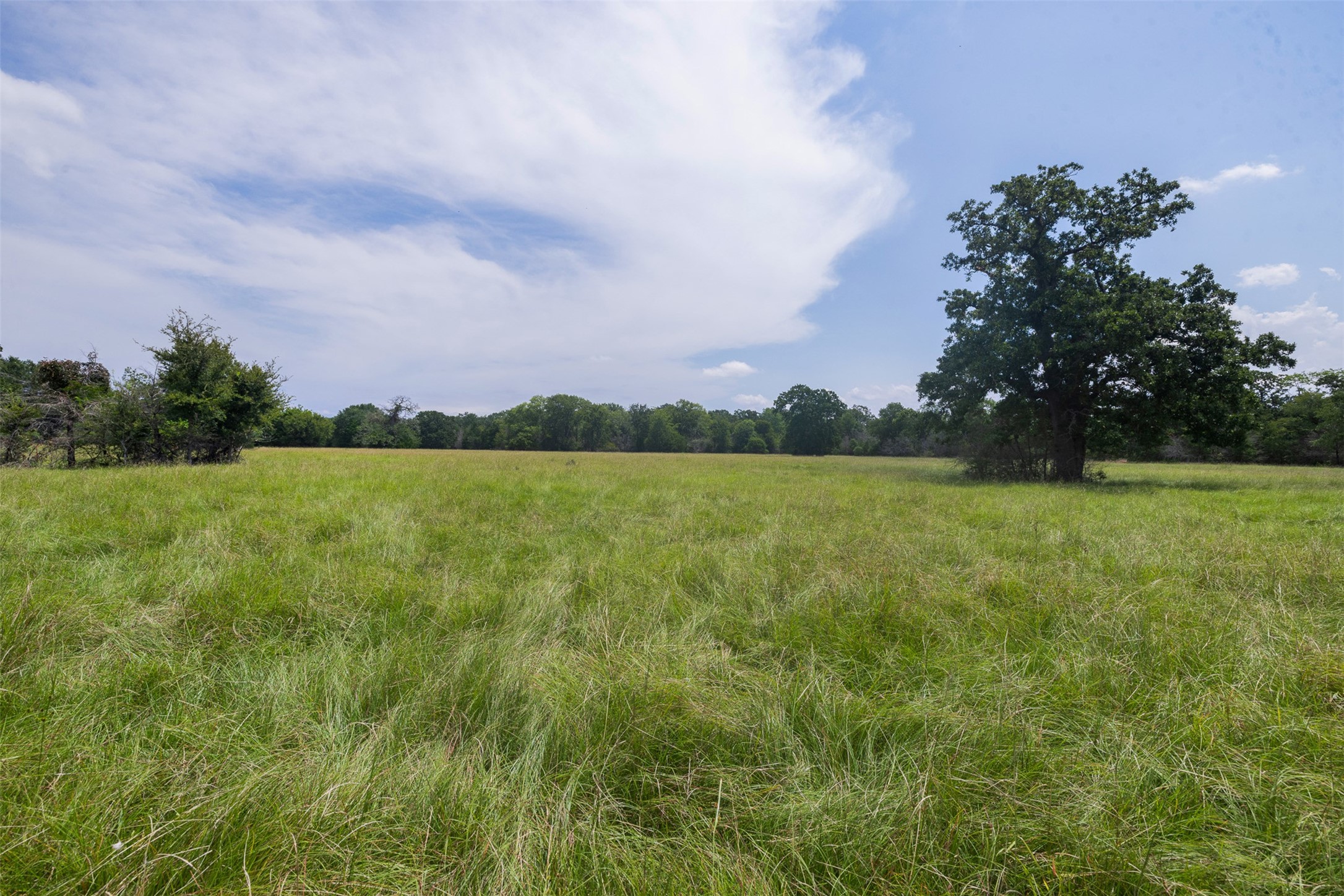 450 Ac Fm 974 Property Photo 12
