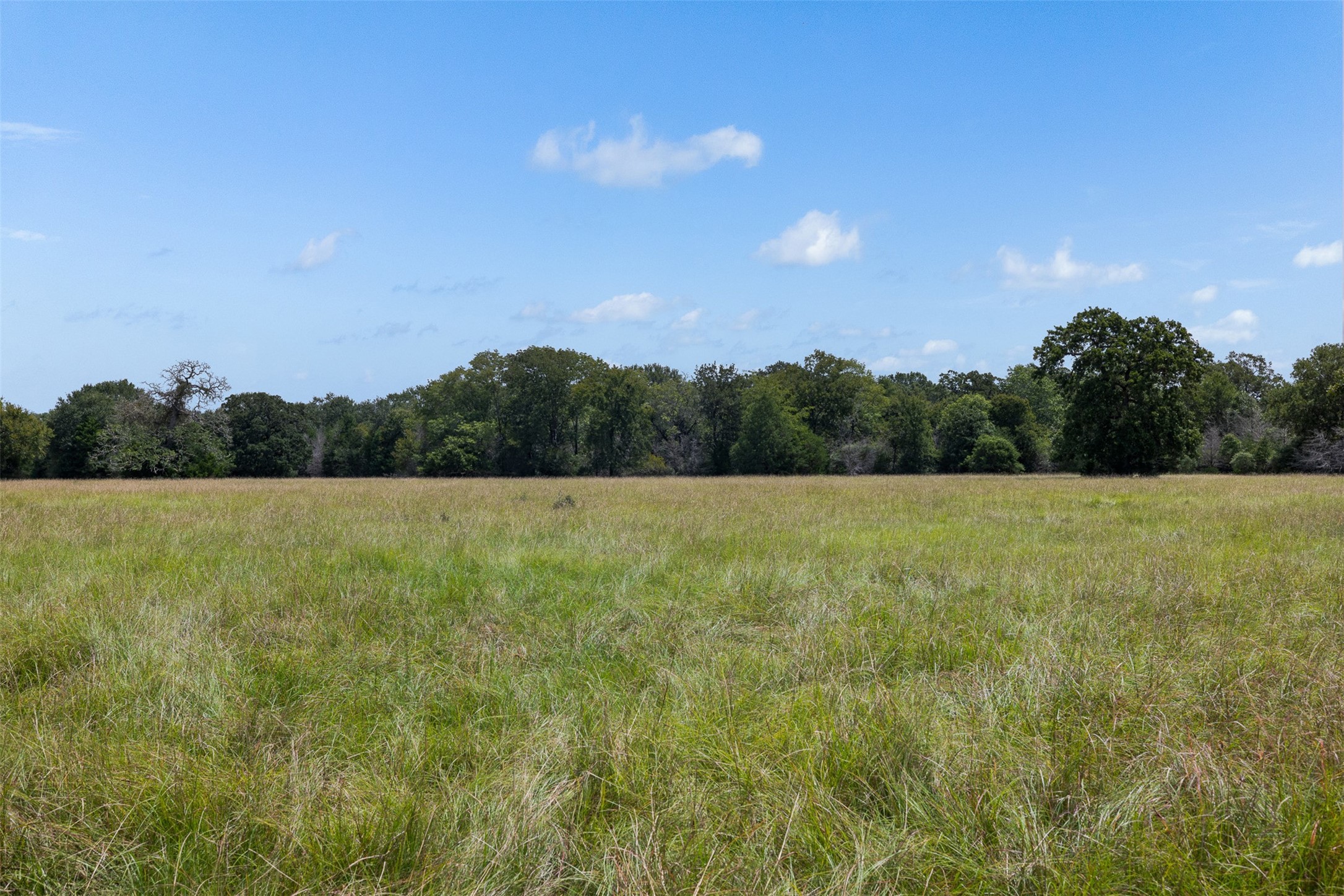 450 Ac Fm 974 Property Photo 13