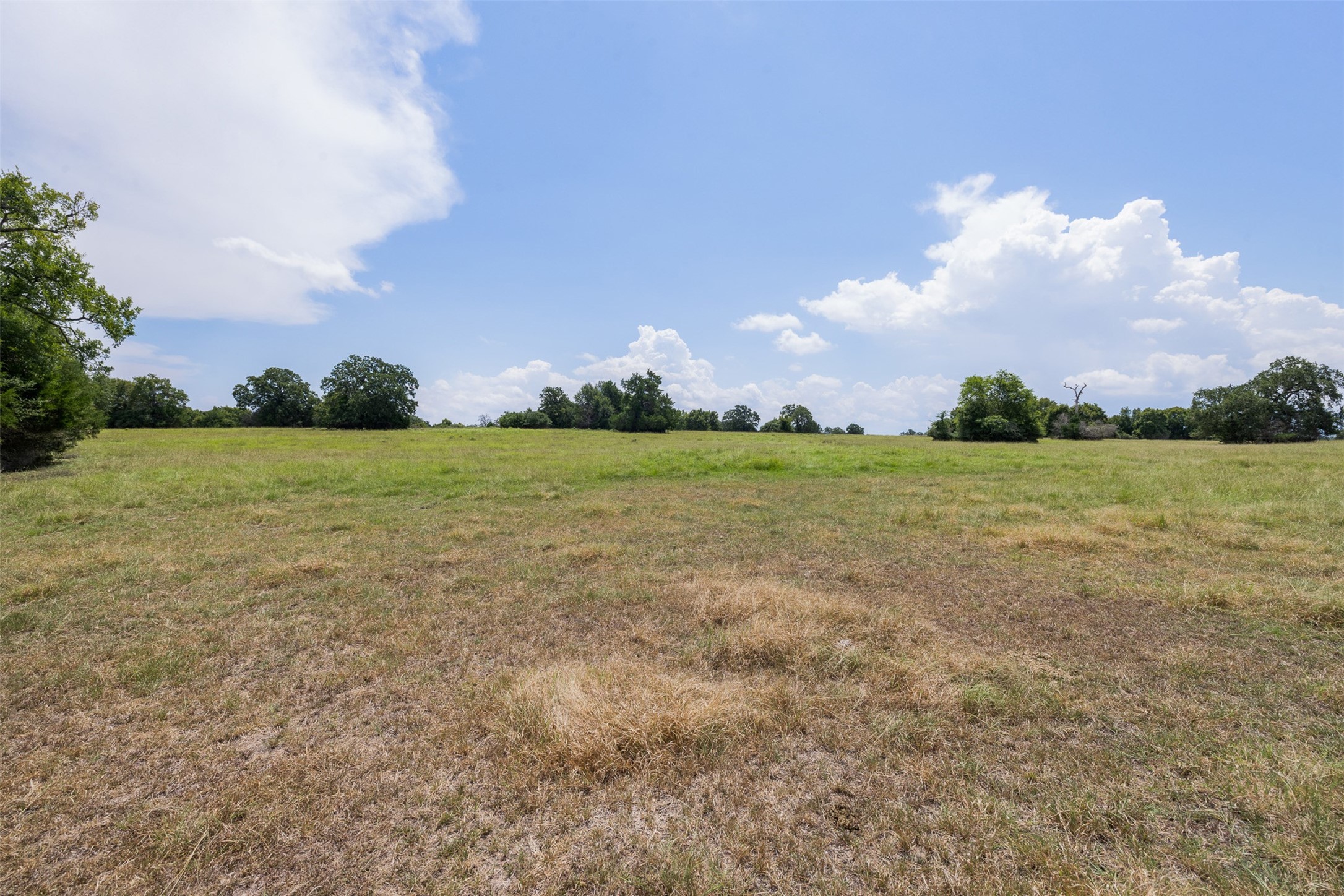 450 Ac Fm 974 Property Photo 15