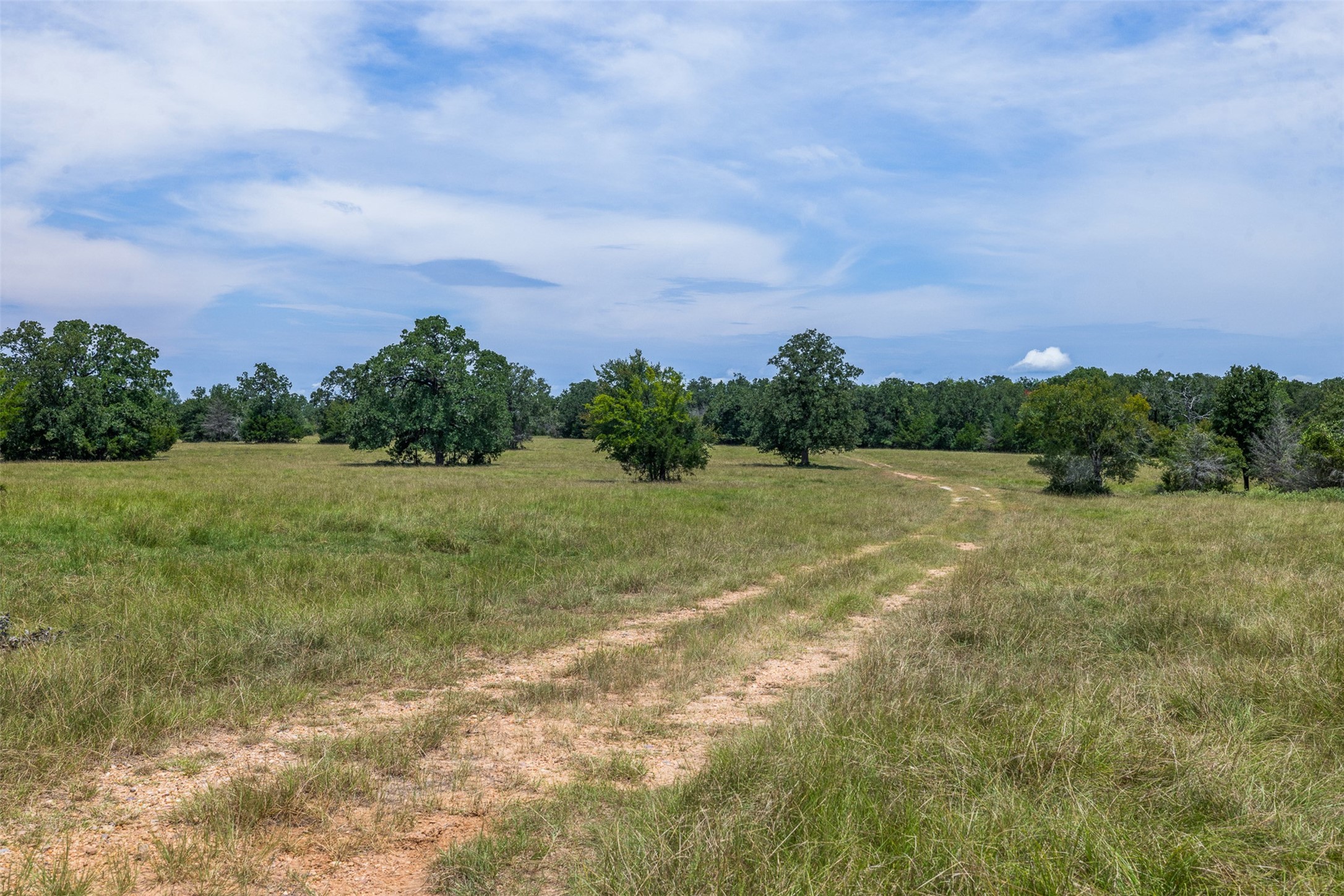 450 Ac Fm 974 Property Photo 17
