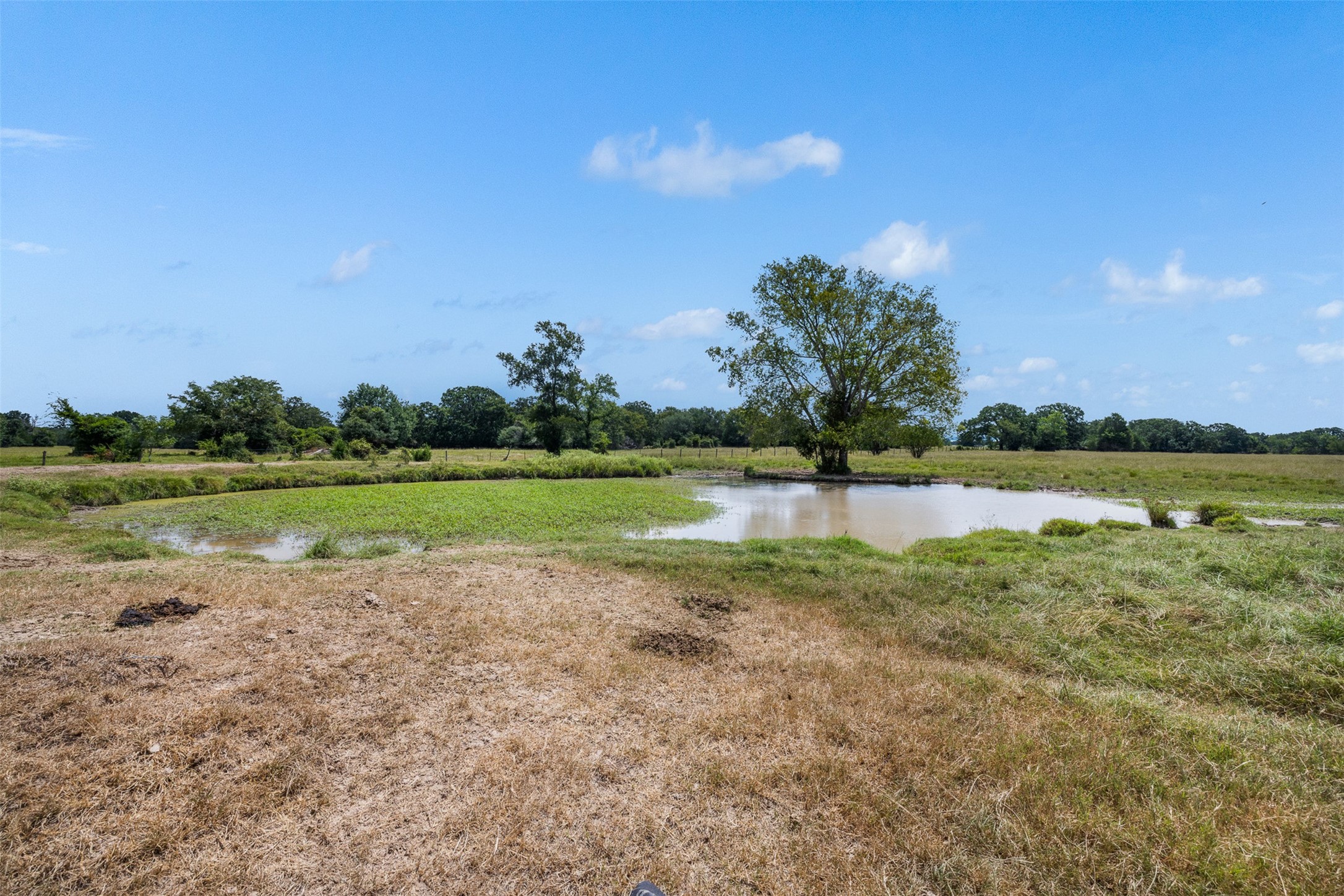 450 Ac Fm 974 Property Photo 19
