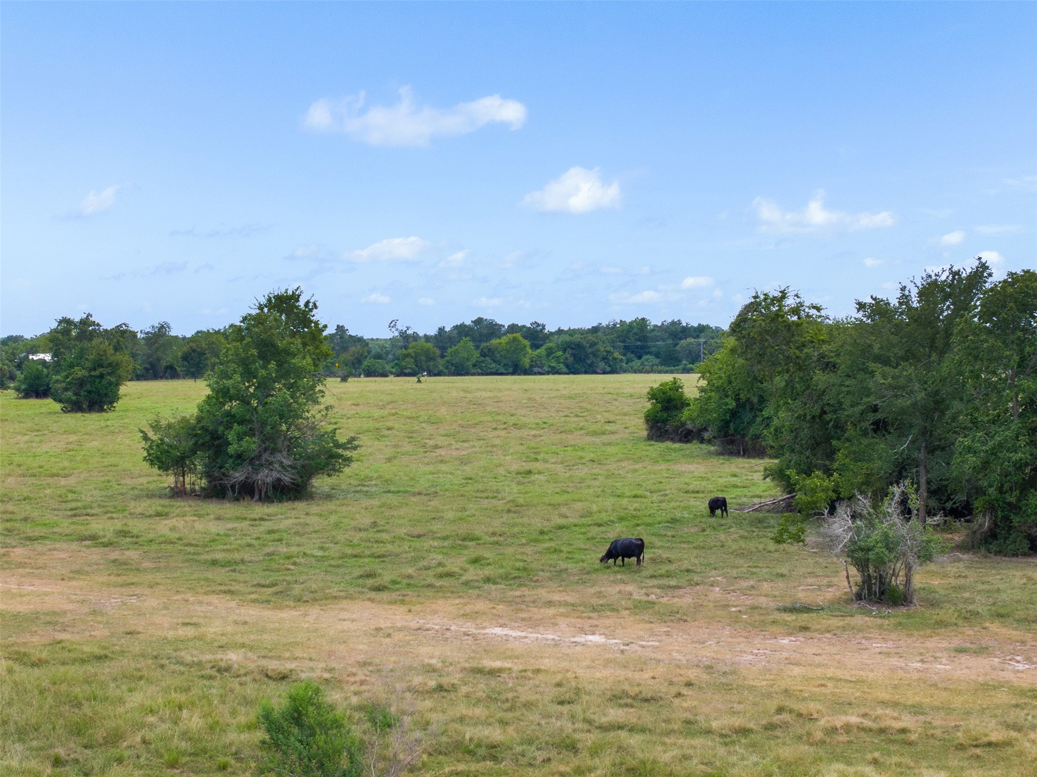 450 Ac Fm 974 Property Photo 22
