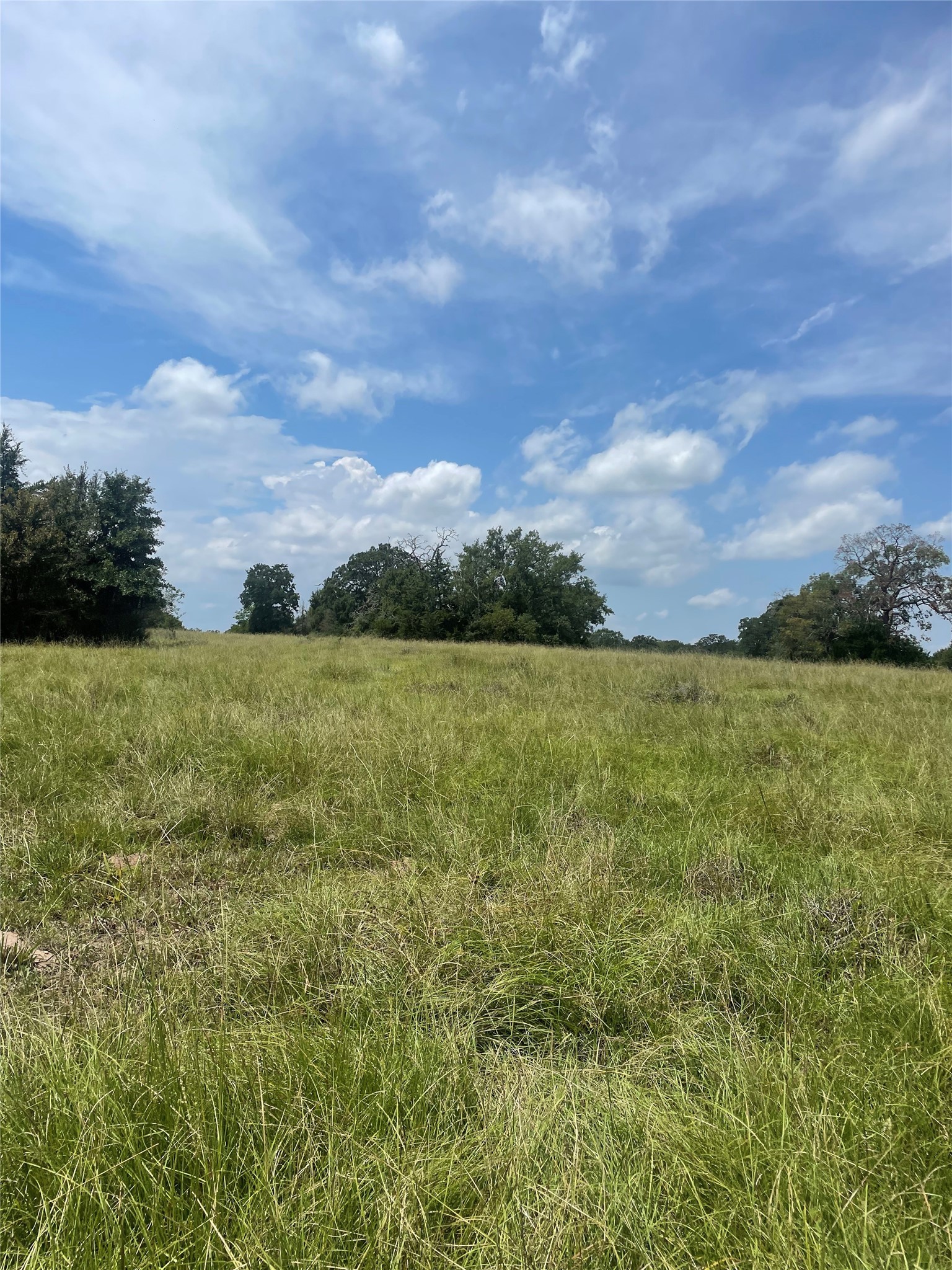 450 Ac Fm 974 Property Photo 23