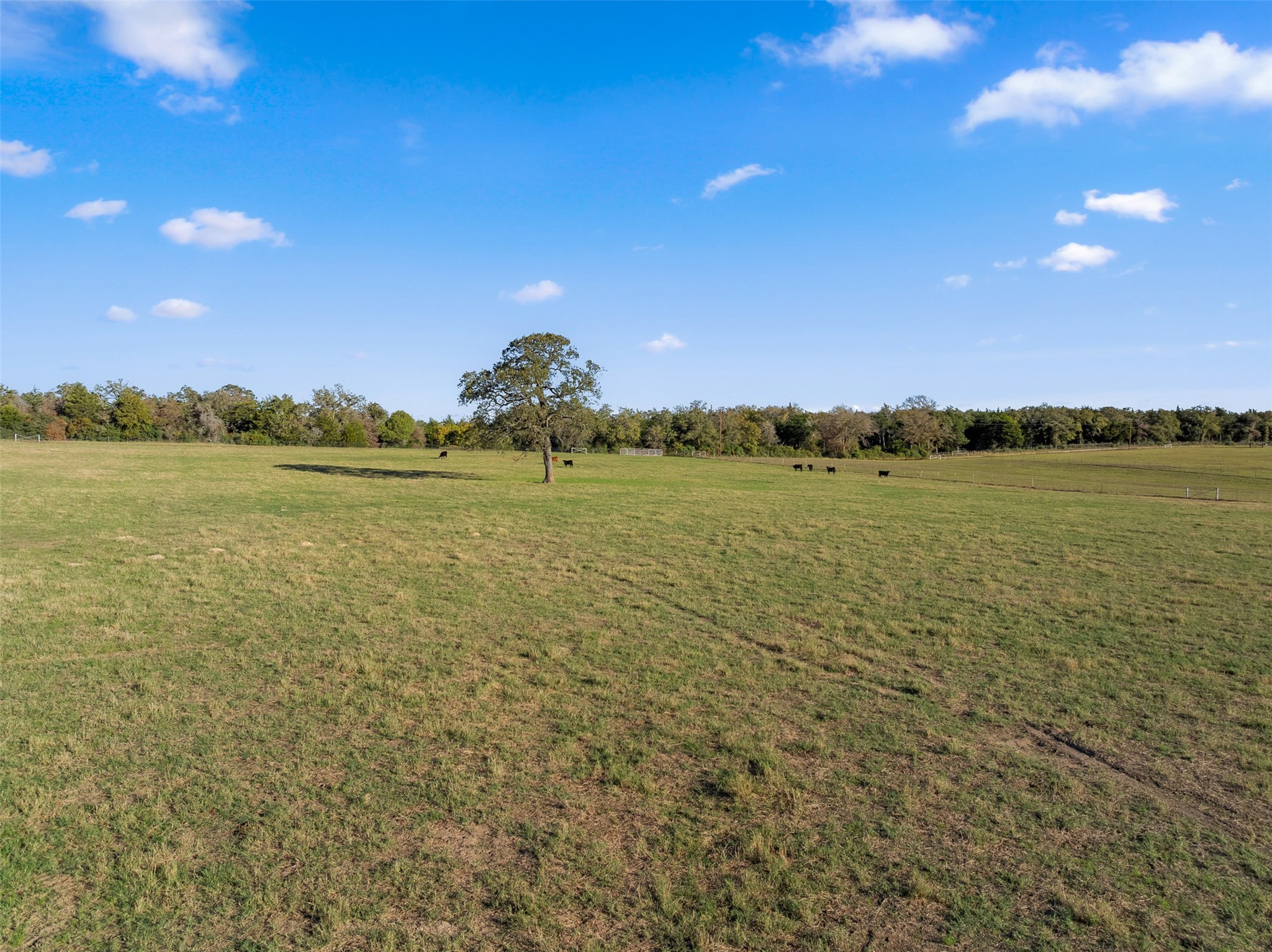 9643 County Road 362 Property Photo 18