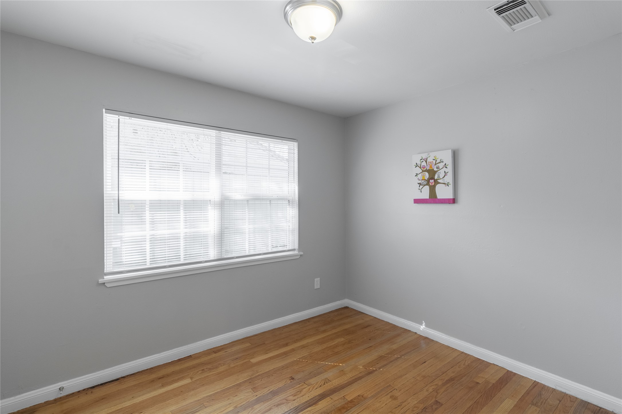 313 Evans Street Property Photo 12