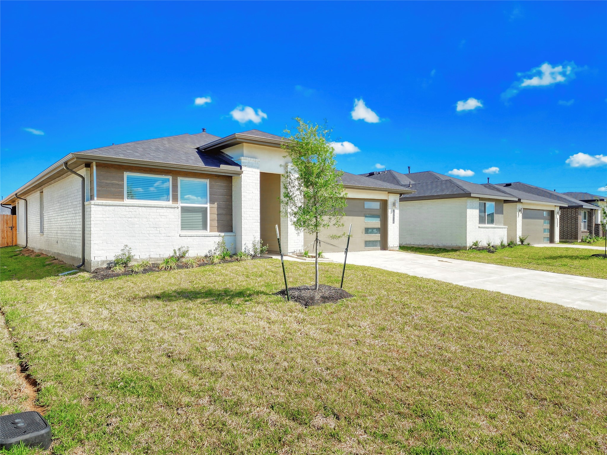 29914 Reagans Ranch Drive Property Photo 2