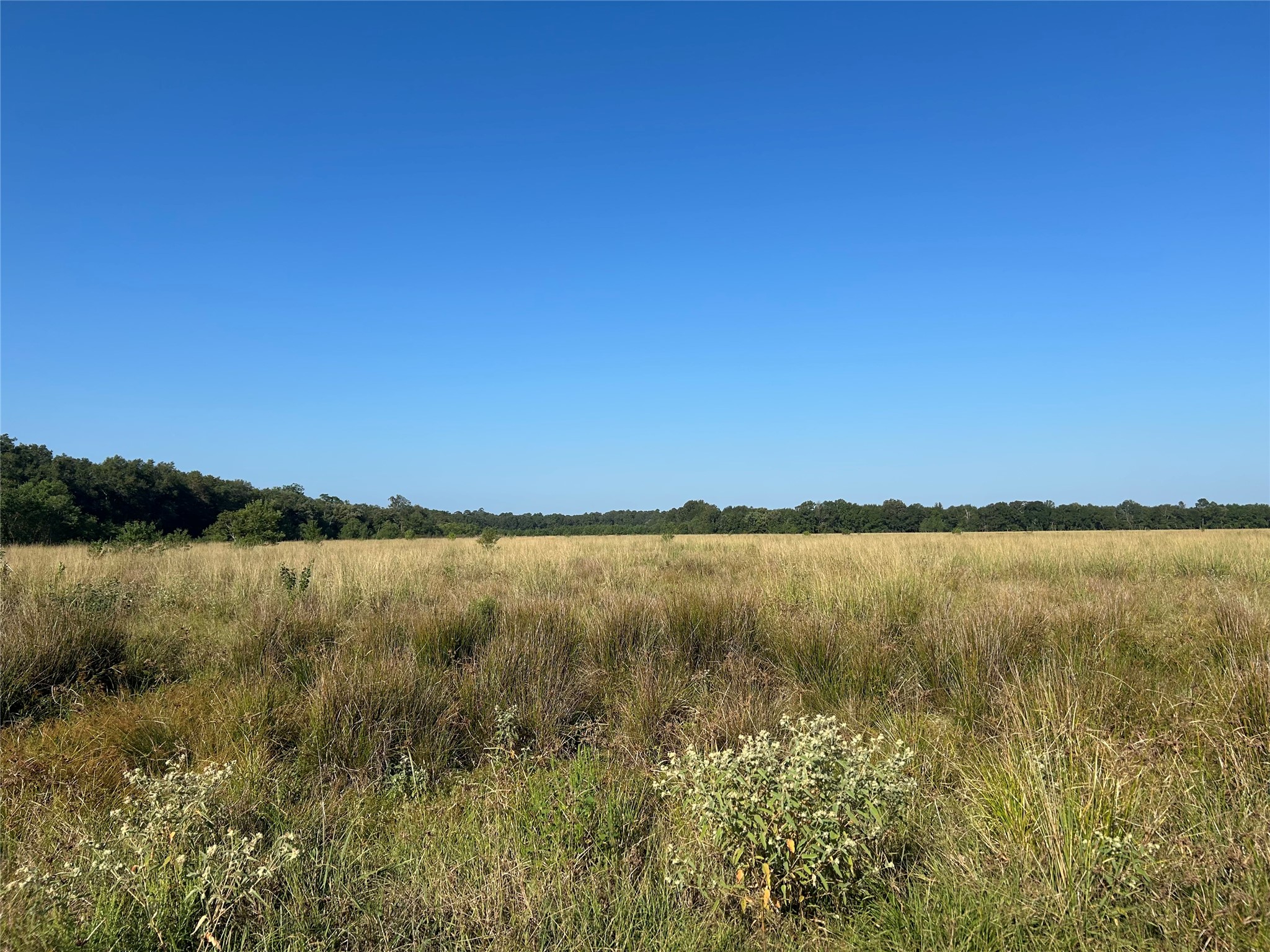 Lot 63 Minnie West Rd Drive Property Photo 6