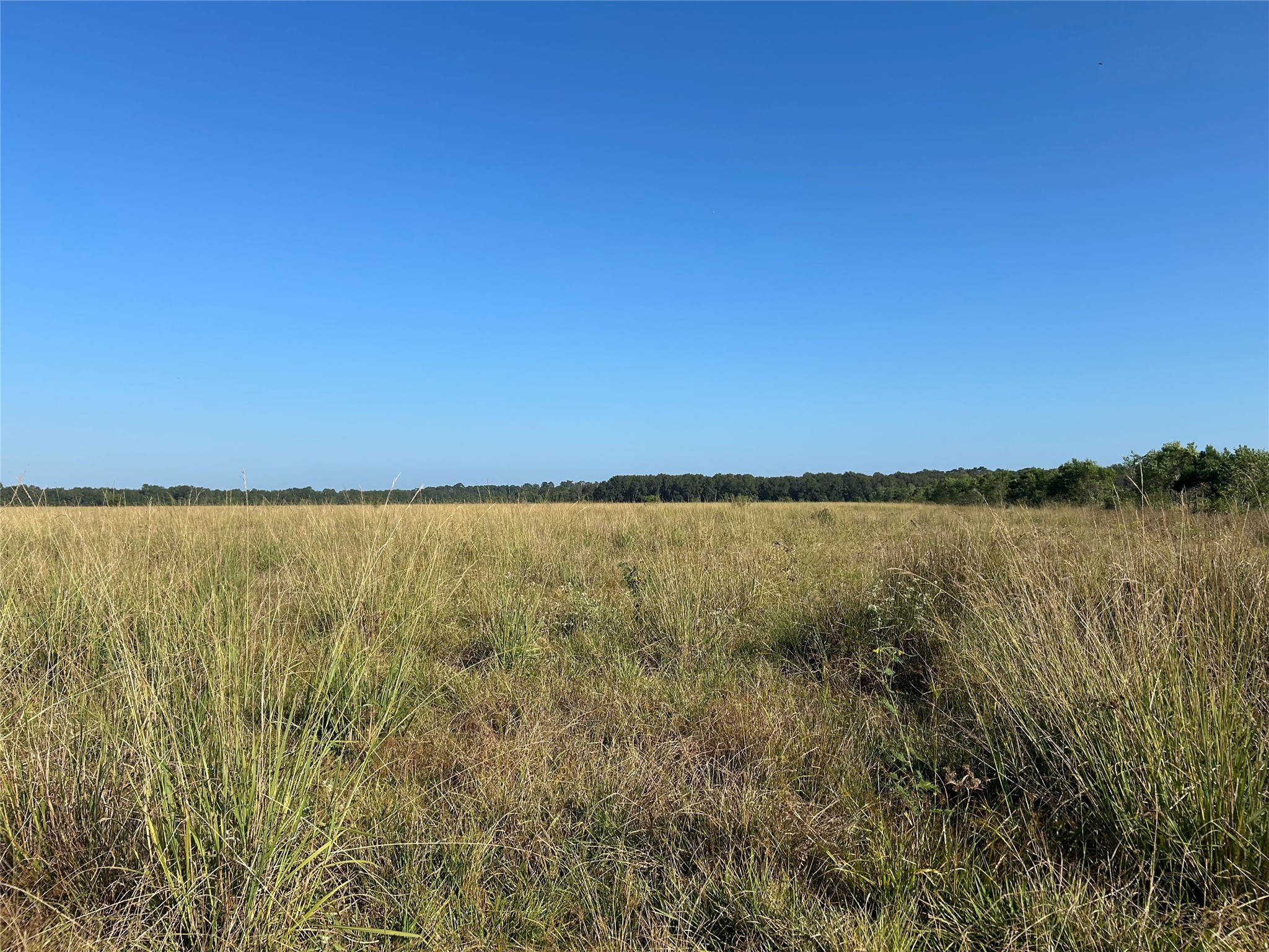 Lot 63 Minnie West Rd Drive Property Photo 7