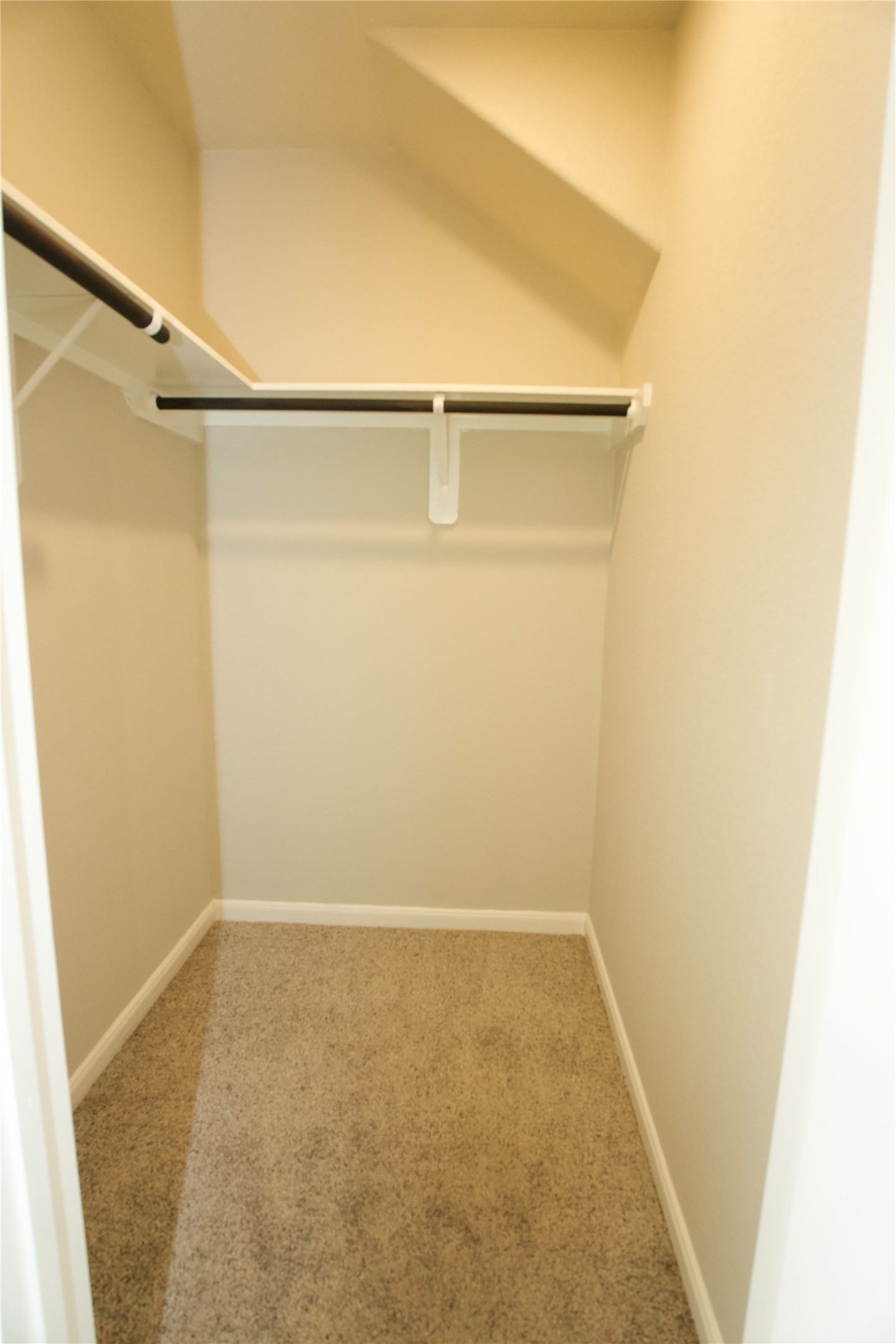 29506 Patricias Way Property Photo 18