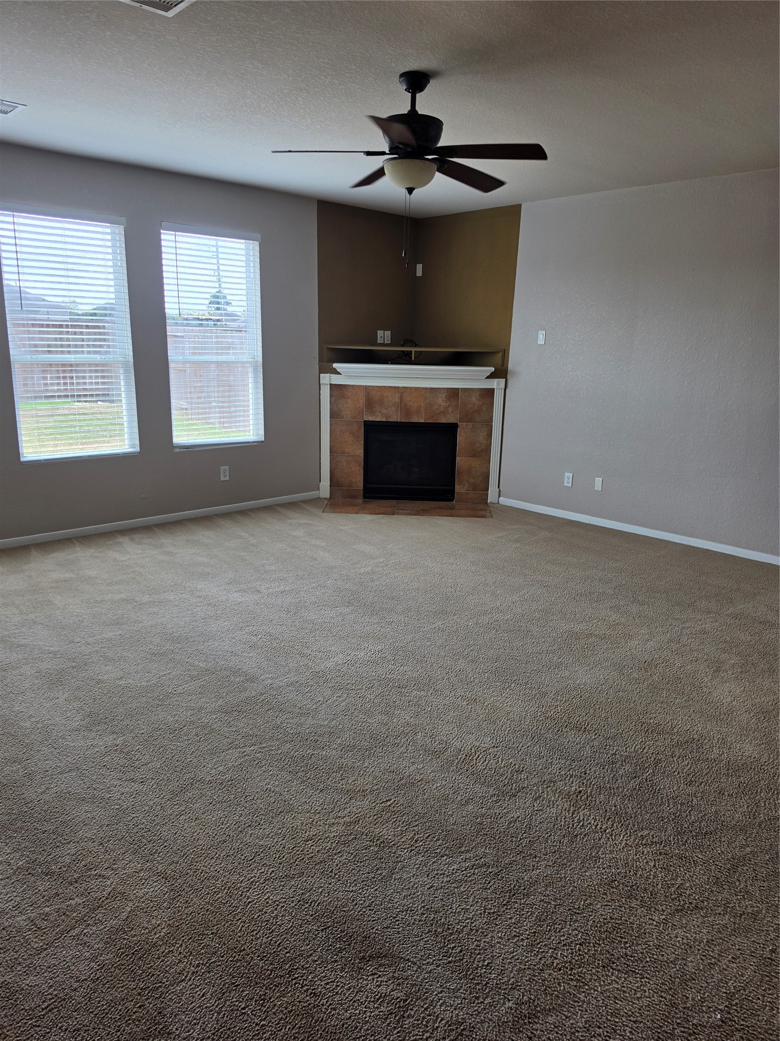 11507 Baldwin Spruce Trail Property Photo 3