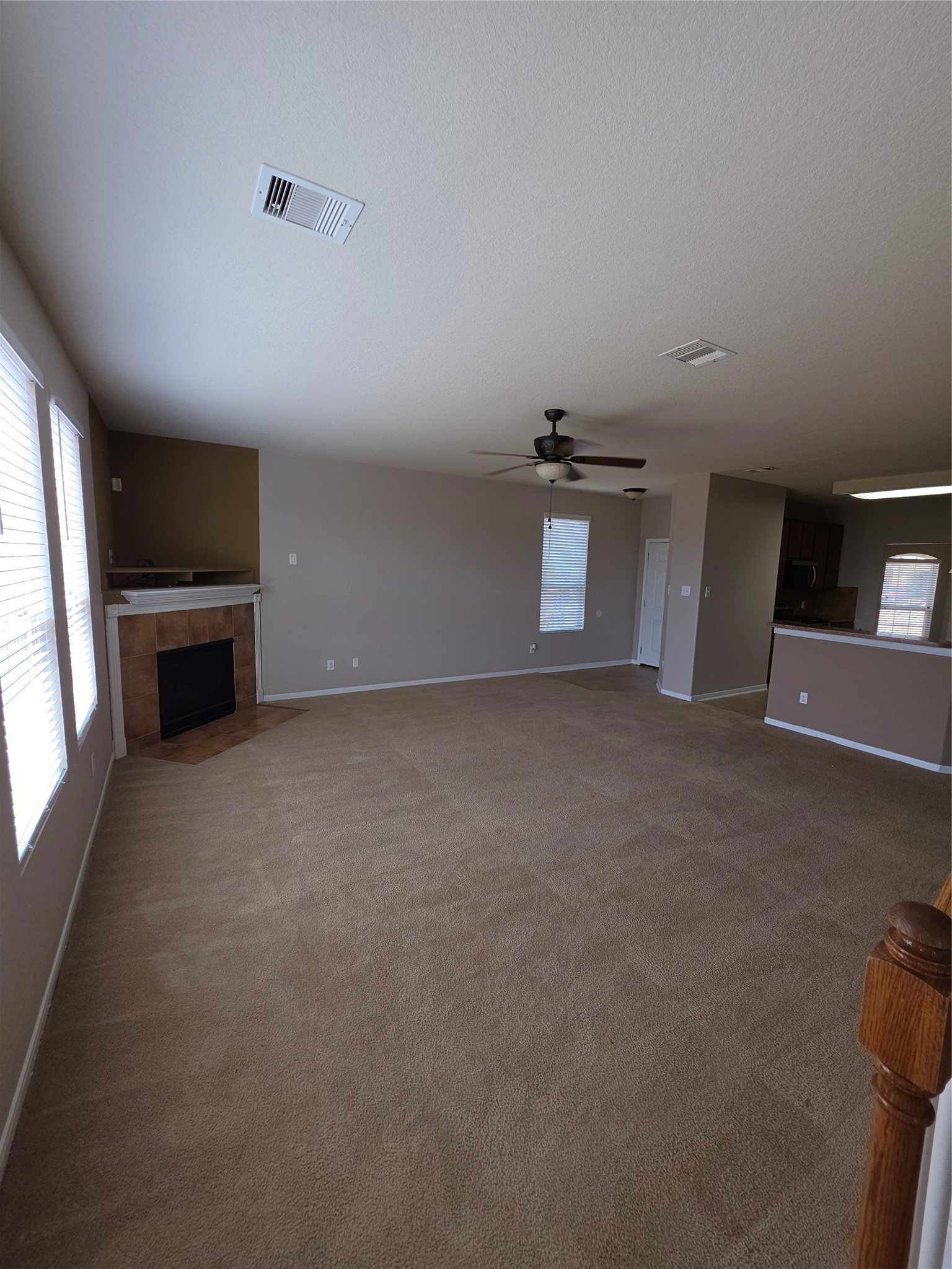 11507 Baldwin Spruce Trail Property Photo 4