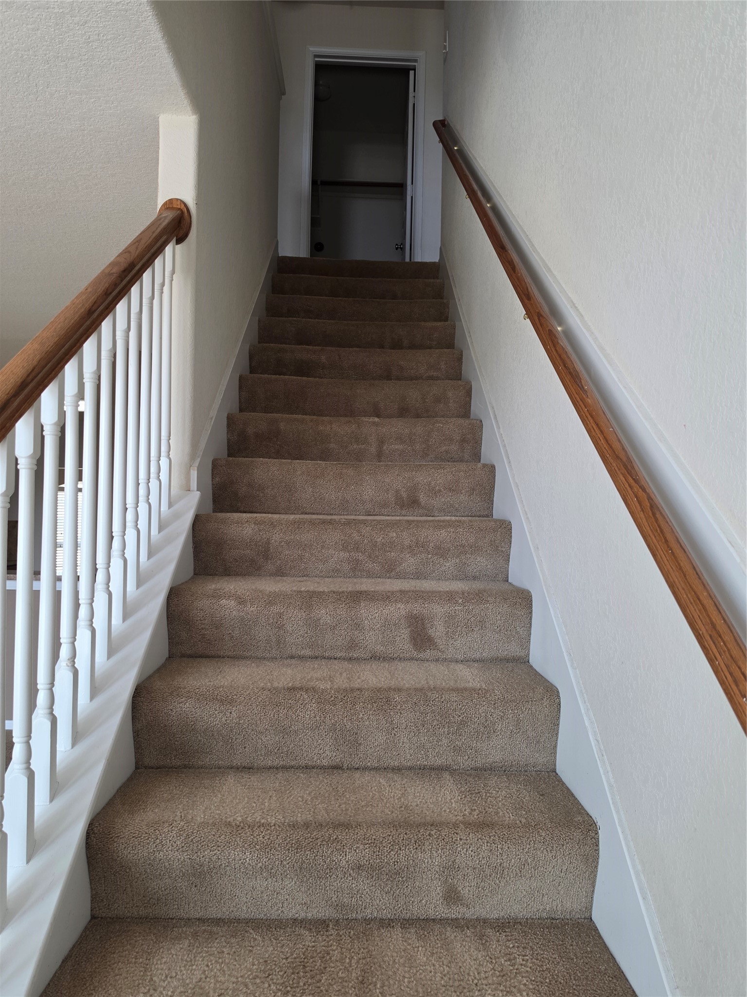11507 Baldwin Spruce Trail Property Photo 13