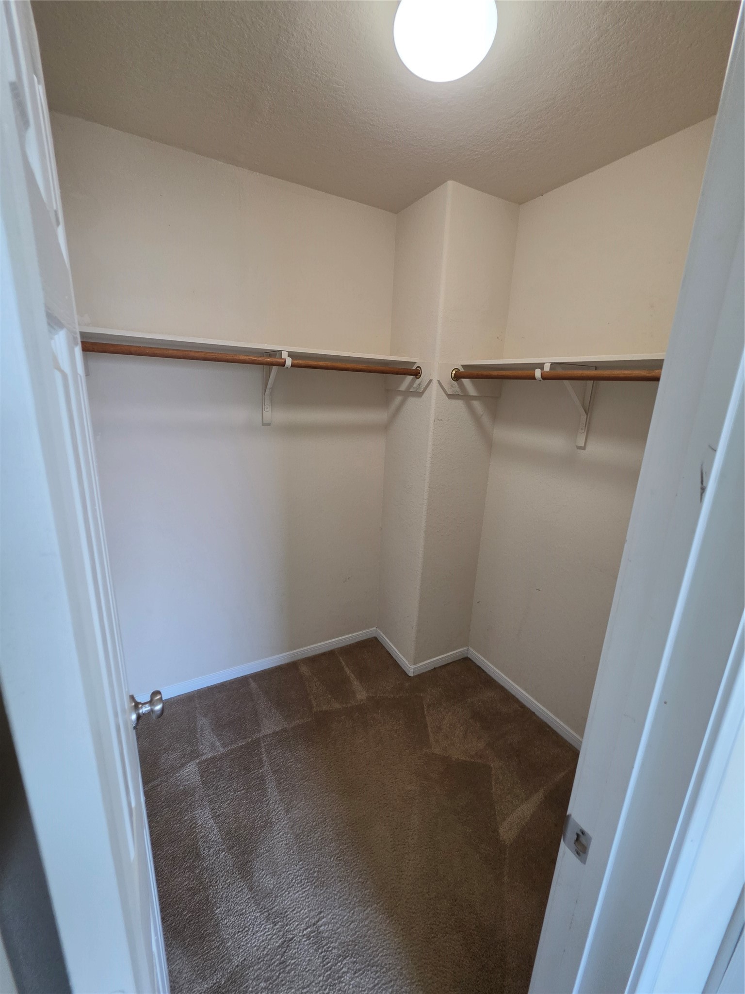 11507 Baldwin Spruce Trail Property Photo 18