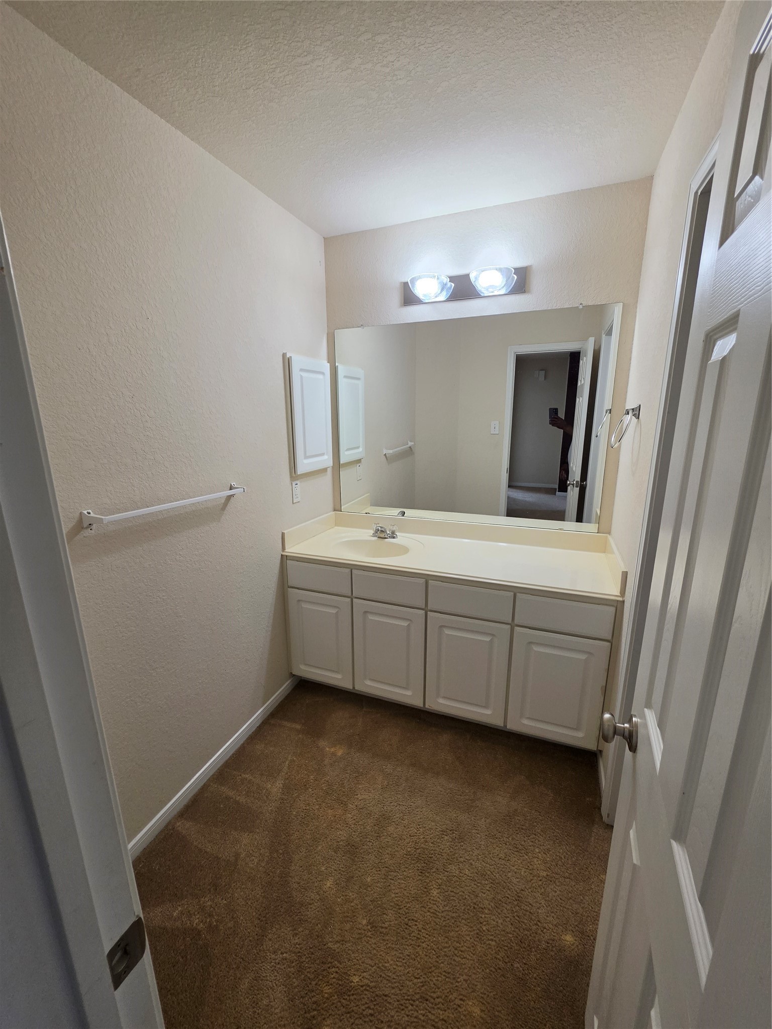 11507 Baldwin Spruce Trail Property Photo 22