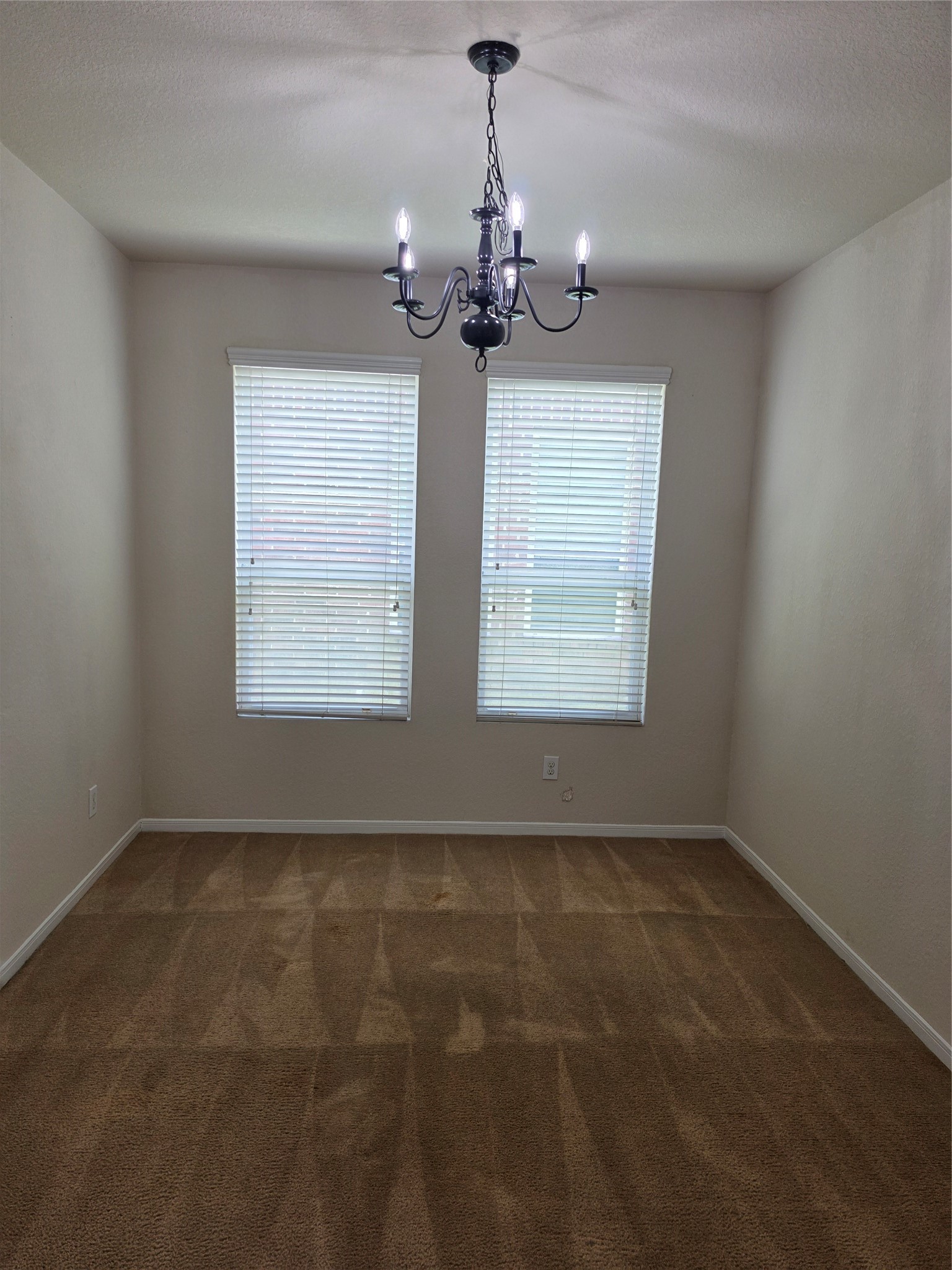 11507 Baldwin Spruce Trail Property Photo 25