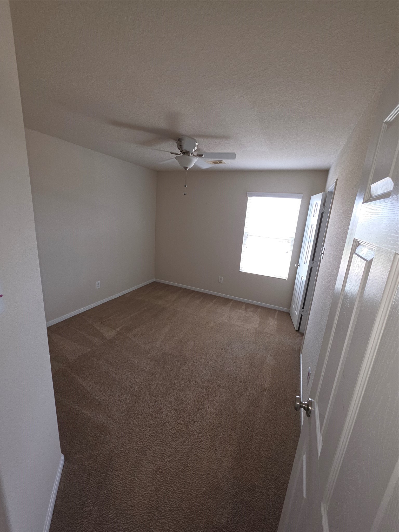 11507 Baldwin Spruce Trail Property Photo 28