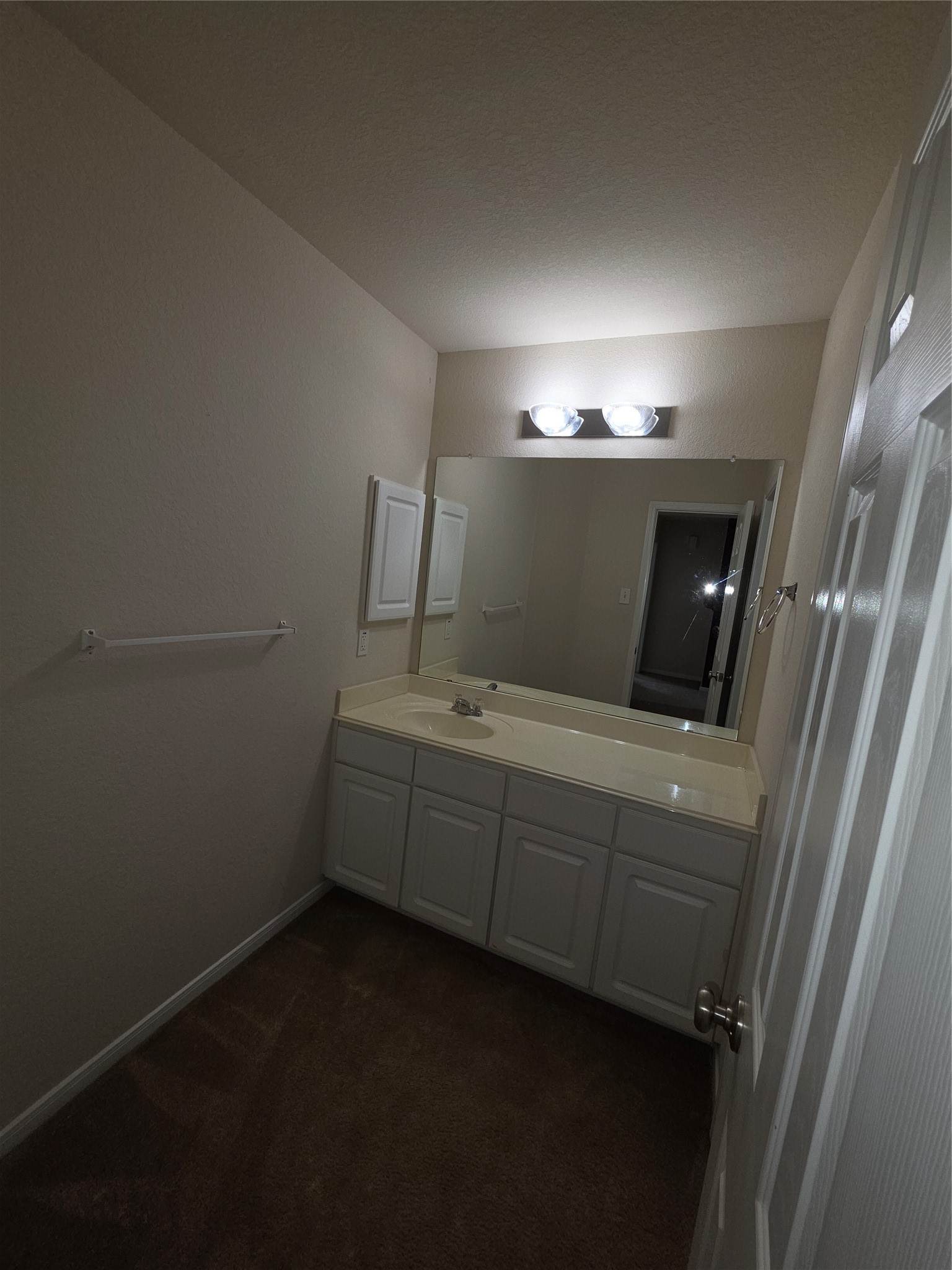 11507 Baldwin Spruce Trail Property Photo 29