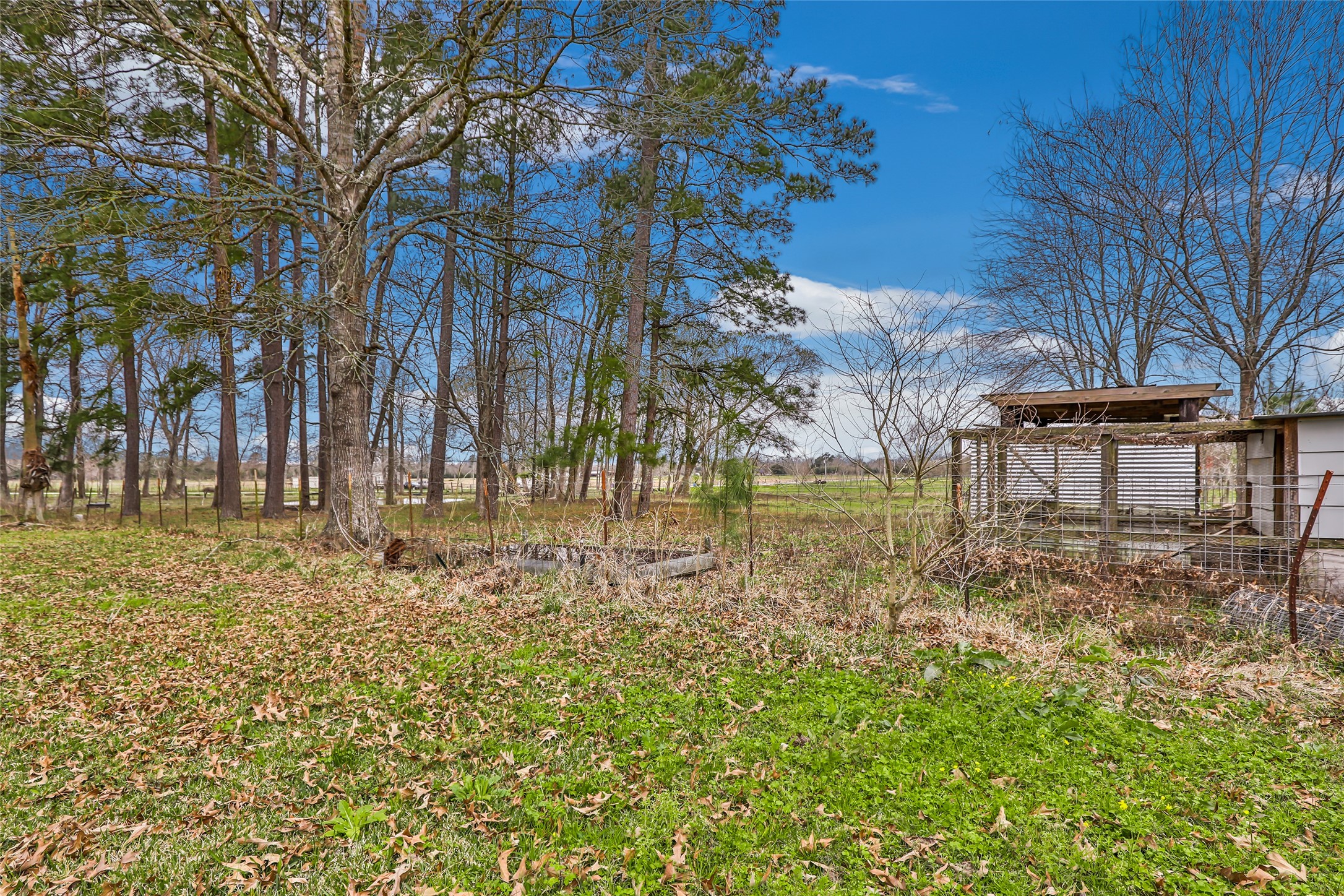 1305 County Road 2089 Property Photo 43