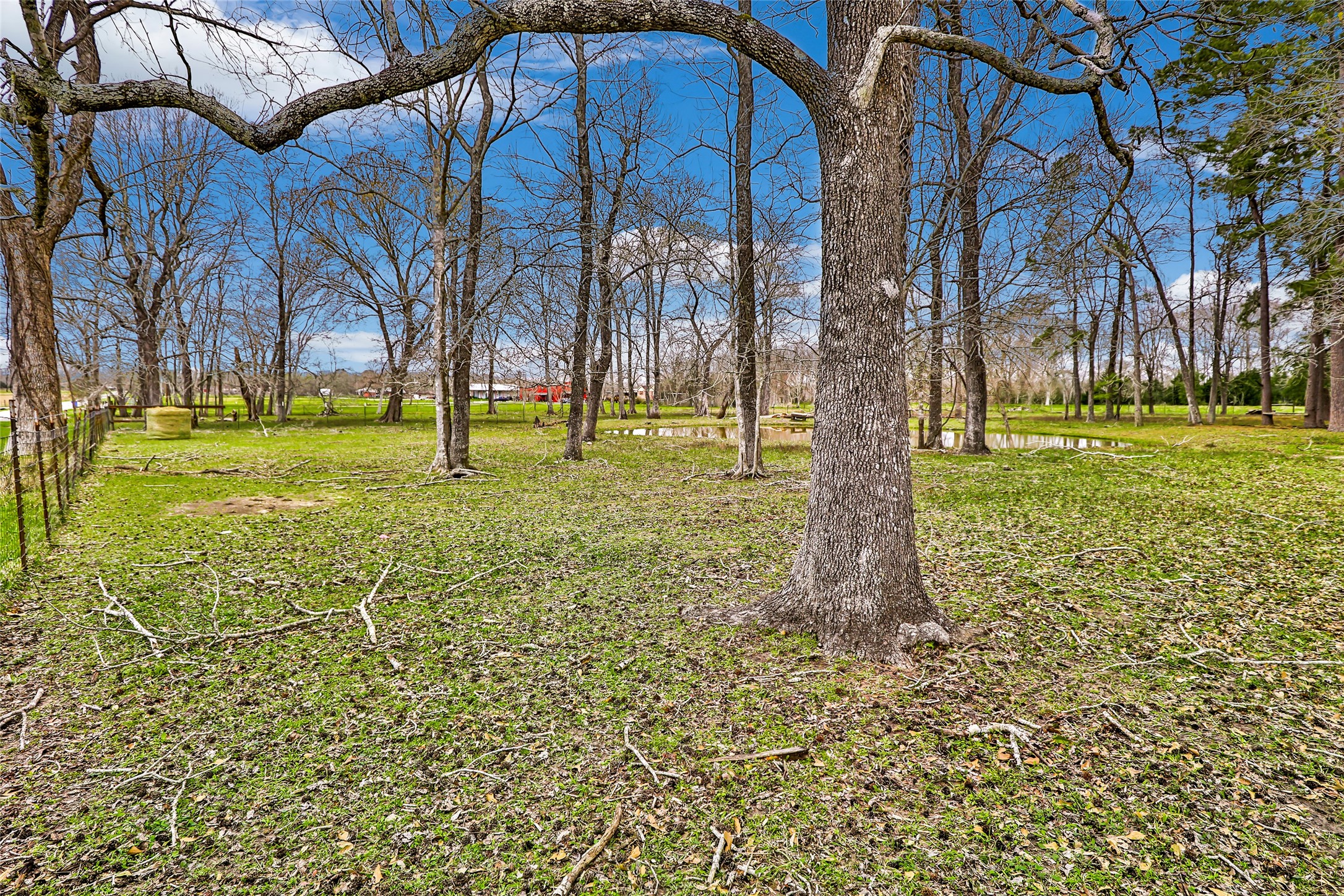 1305 County Road 2089 Property Photo 47