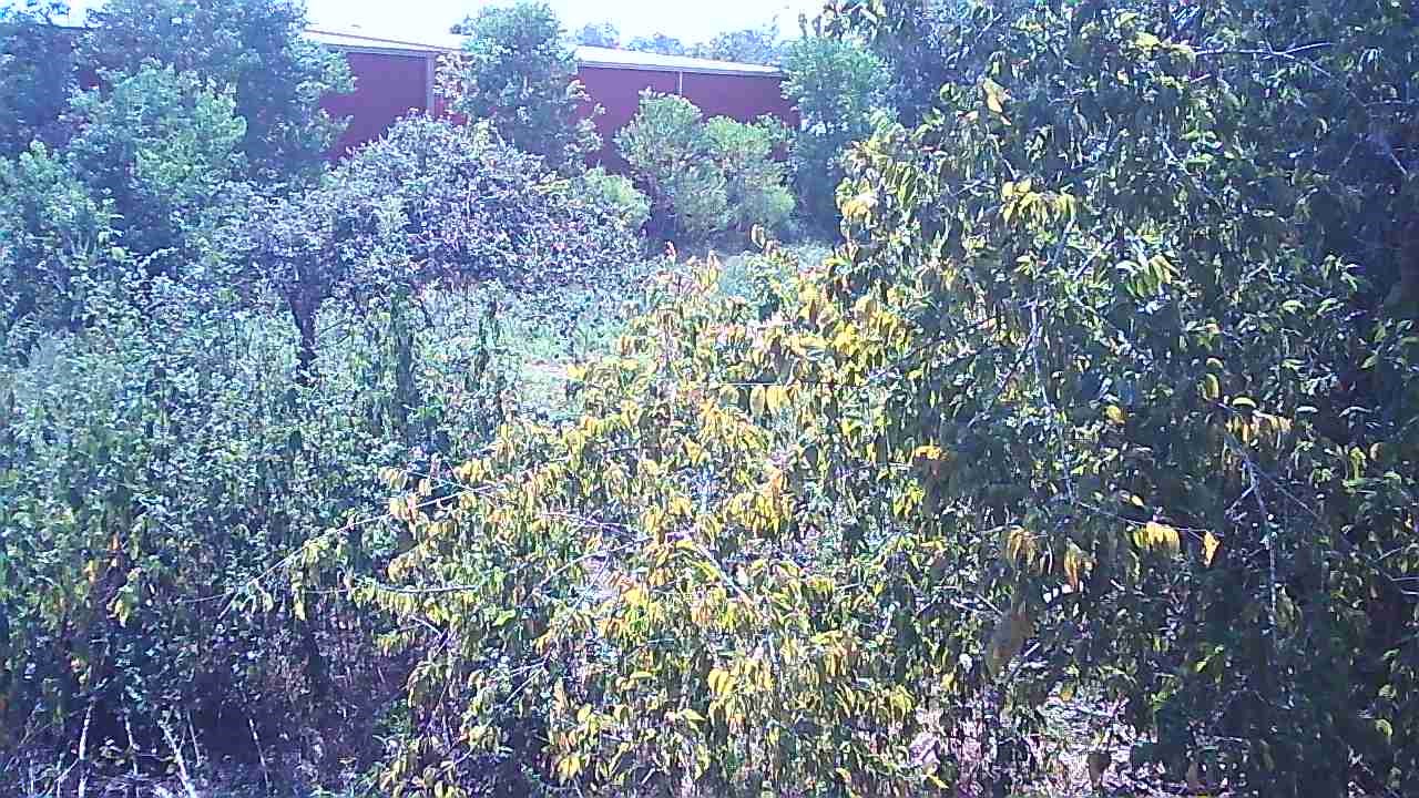 0 12th Street Property Photo 3
