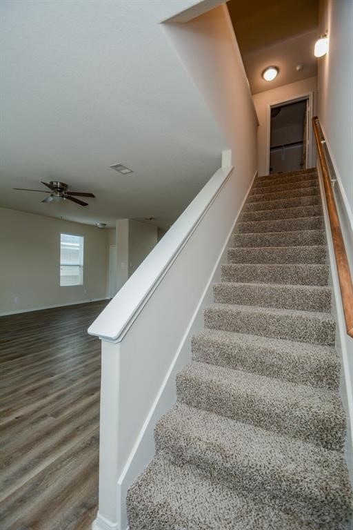 29459 Forest Floor Lane Property Photo 22