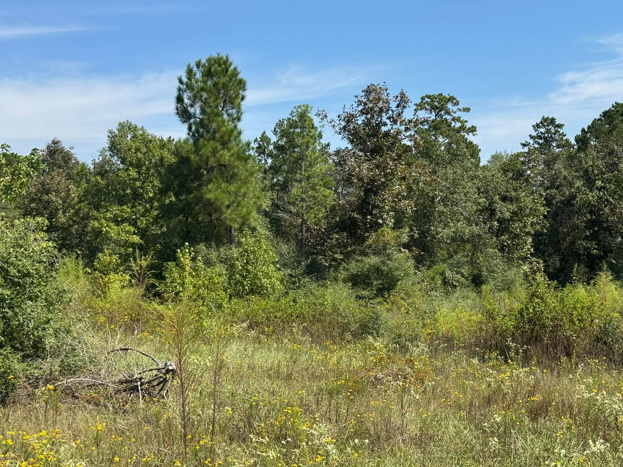 Tract 5 Private Road 8385 Property Photo 2