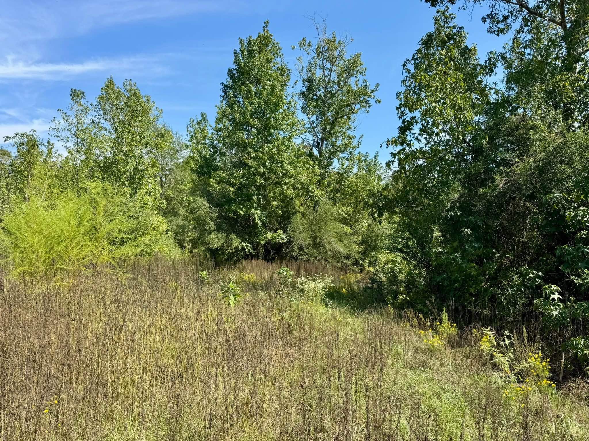Tract 5 Private Road 8385 Property Photo 3