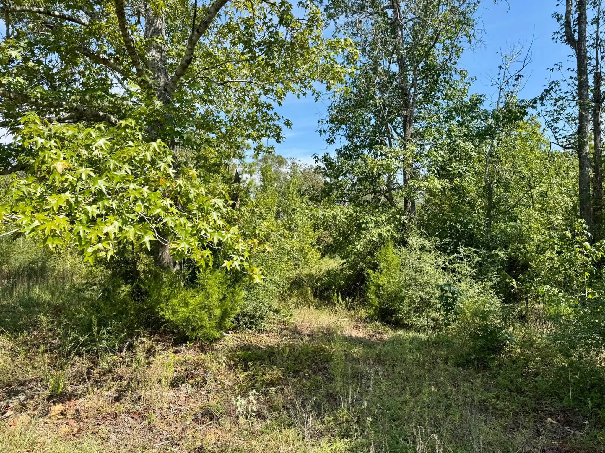 Tract 5 Private Road 8385 Property Photo 4