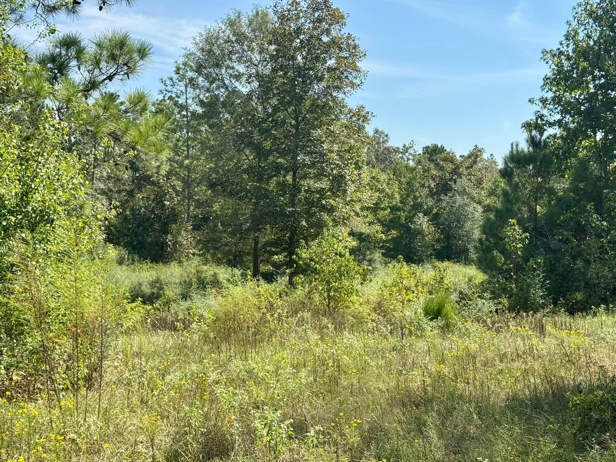 Tract 5 Private Road 8385 Property Photo 7