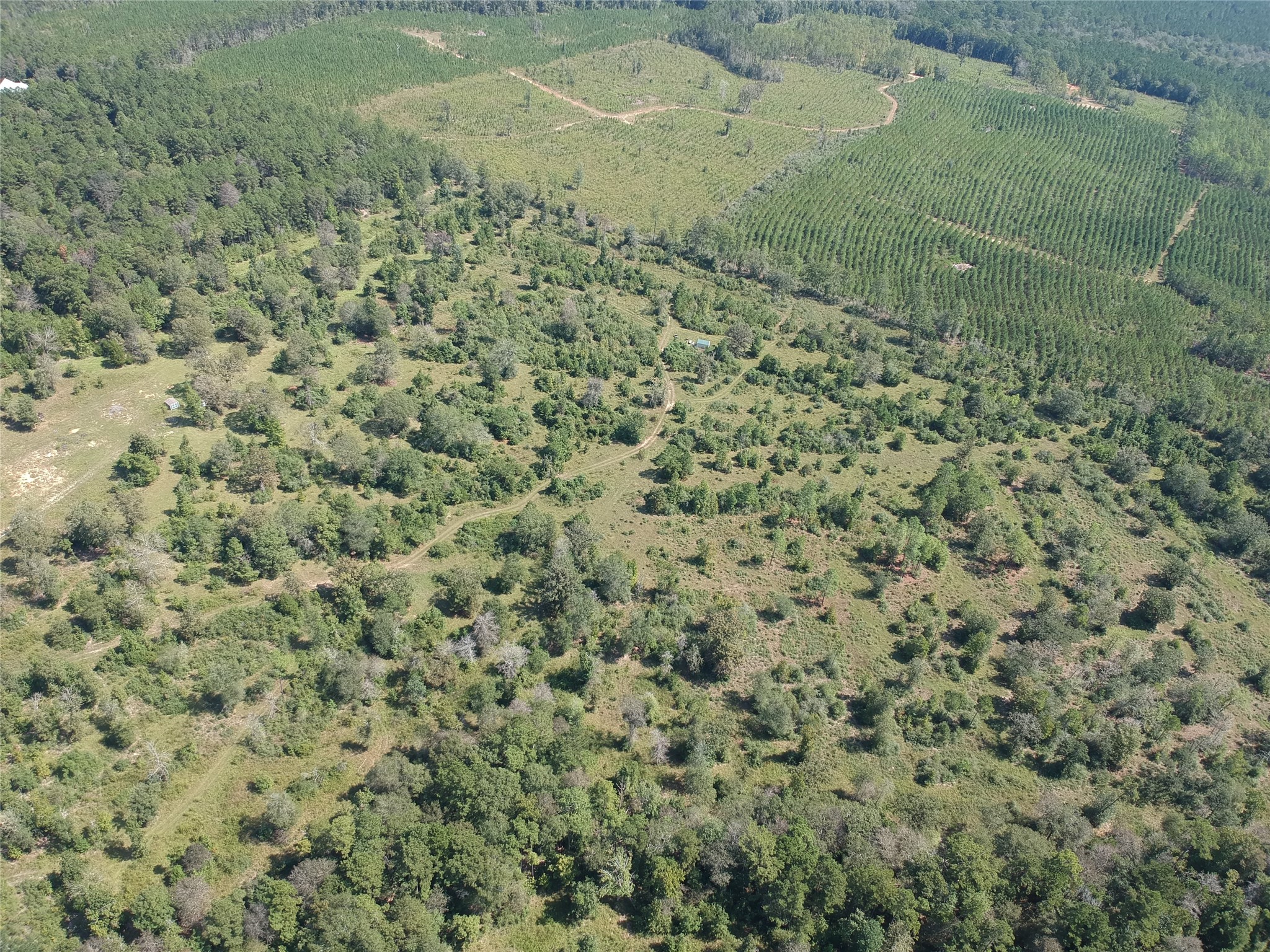 Tract 5 Private Road 8385 Property Photo 8