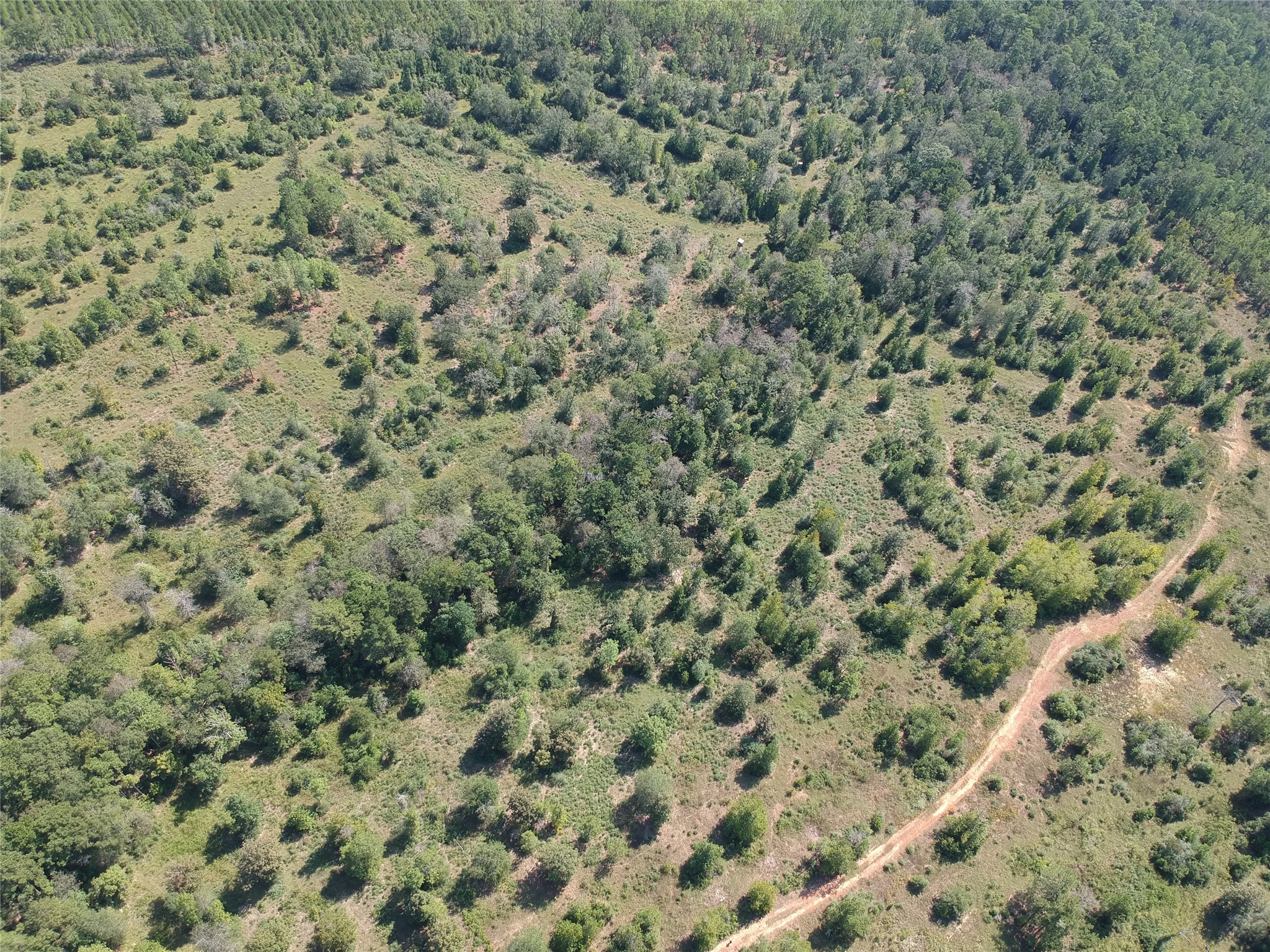 Tract 5 Private Road 8385 Property Photo 9