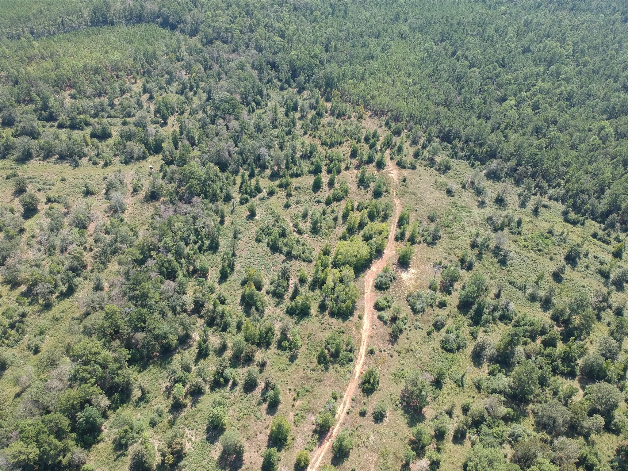 Tract 5 Private Road 8385 Property Photo 10