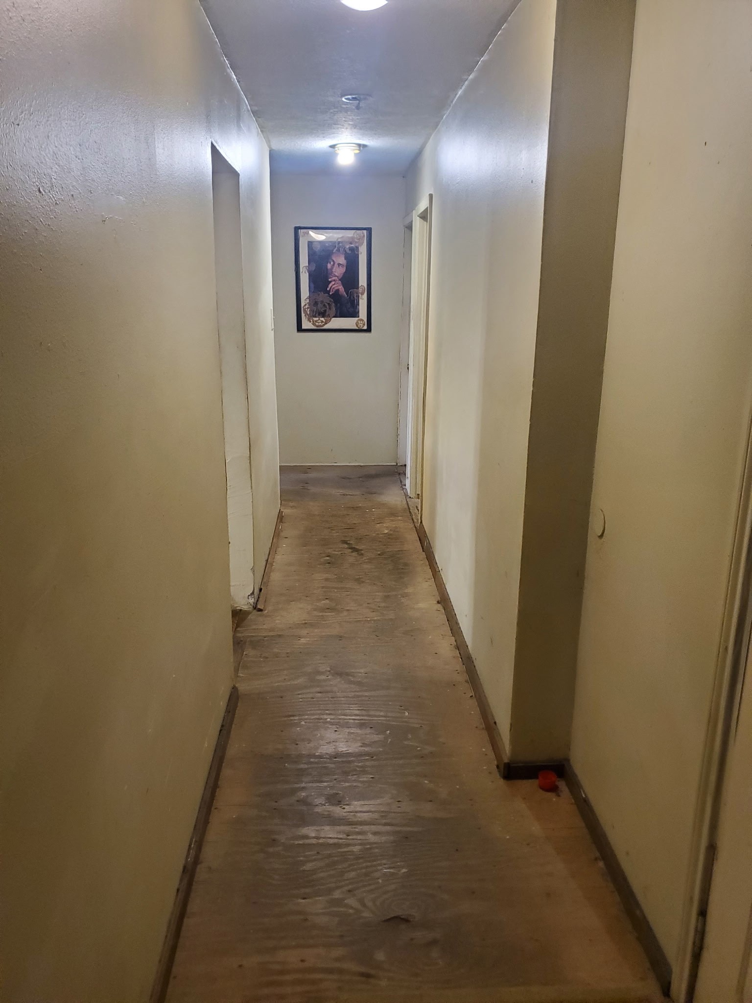 8038 Talton Street Property Photo 12