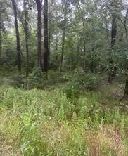 Tbd Moonbeam Dr Property Photo 3