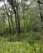 Tbd Moonbeam Dr Property Photo 4