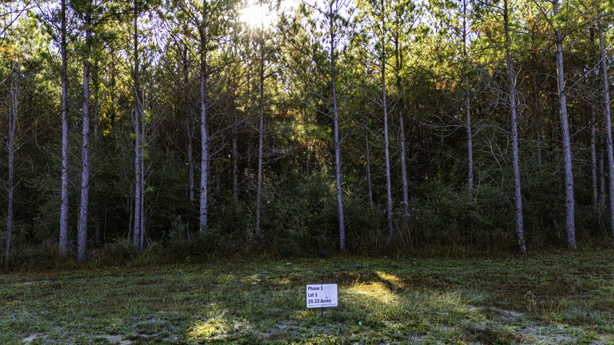 011 Magnolia Ranch Road Property Photo 5