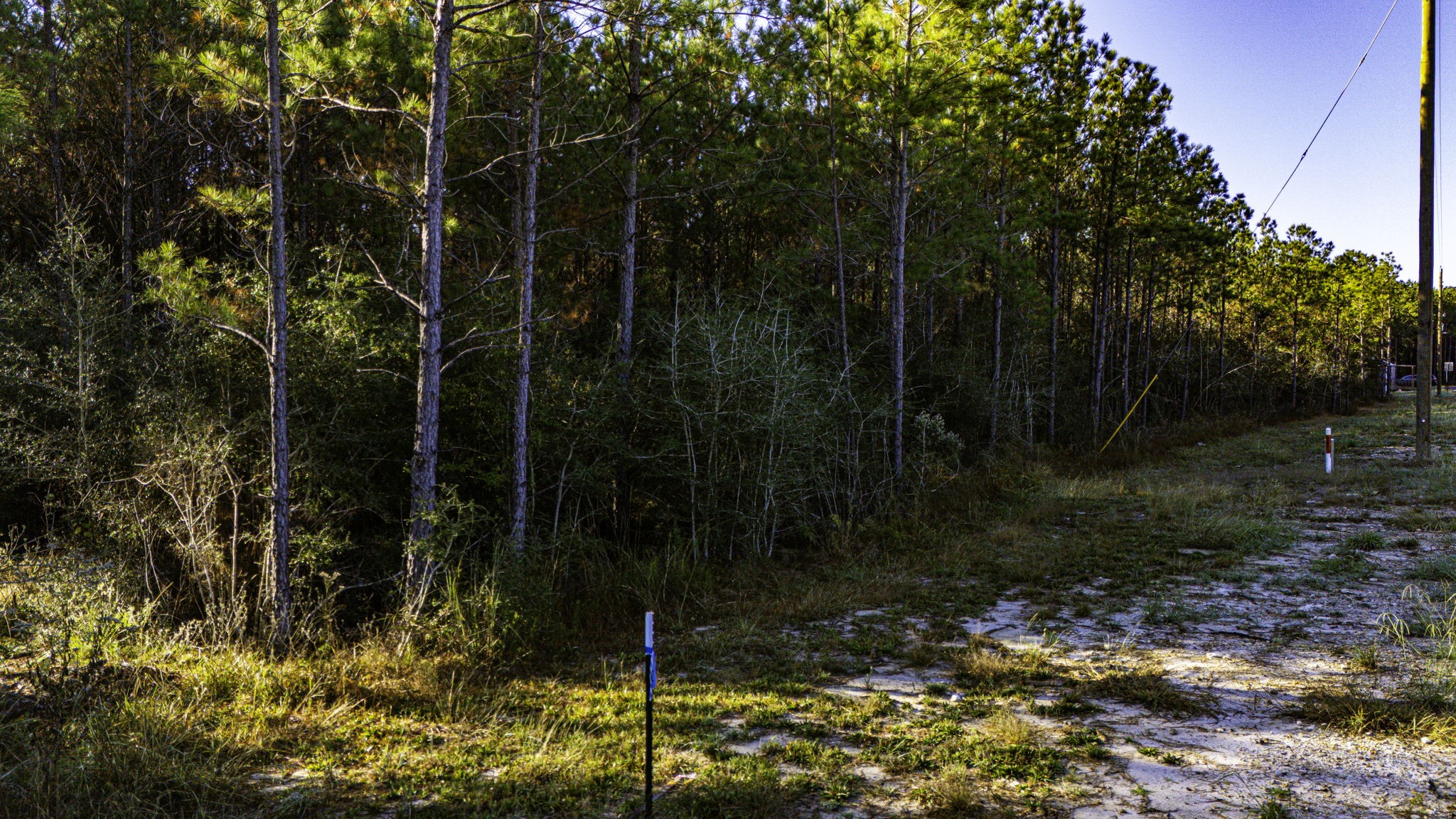 011 Magnolia Ranch Road Property Photo 6