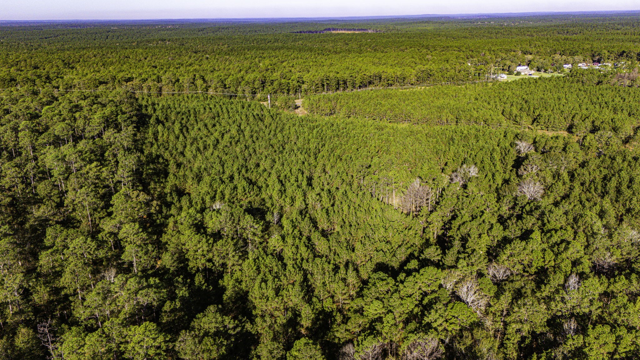 011 Magnolia Ranch Road Property Photo 15