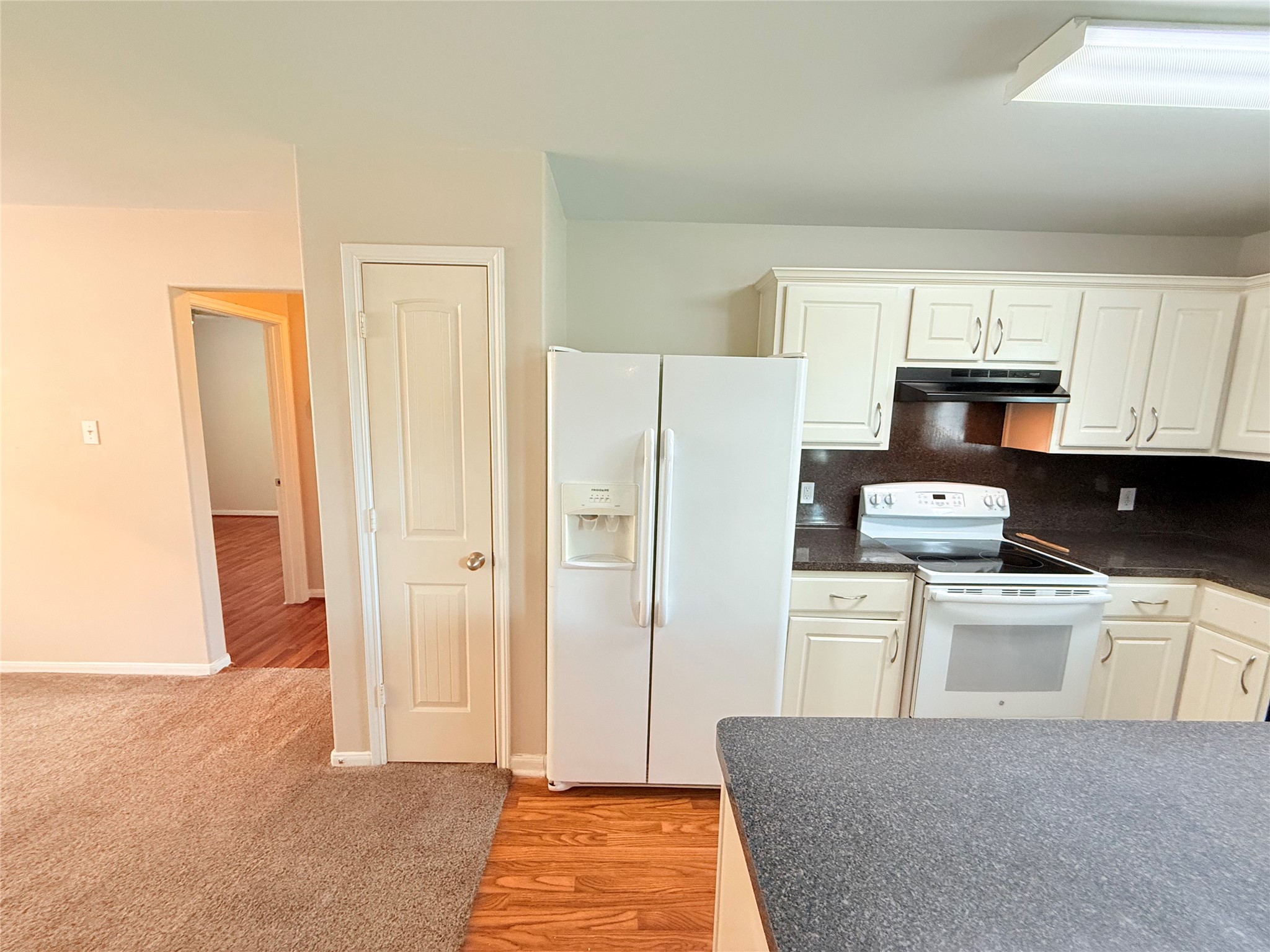 29019 San Jacinto River Ct Property Photo 12