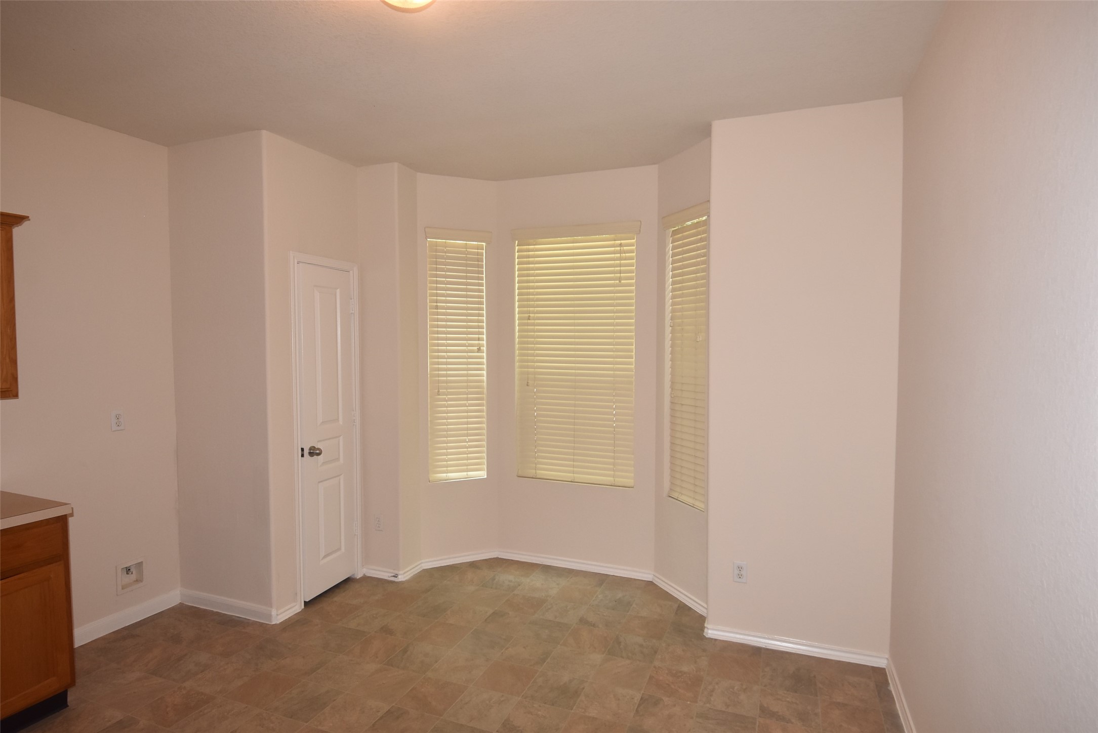 16807 Mammoth Springs Dr Property Photo 6