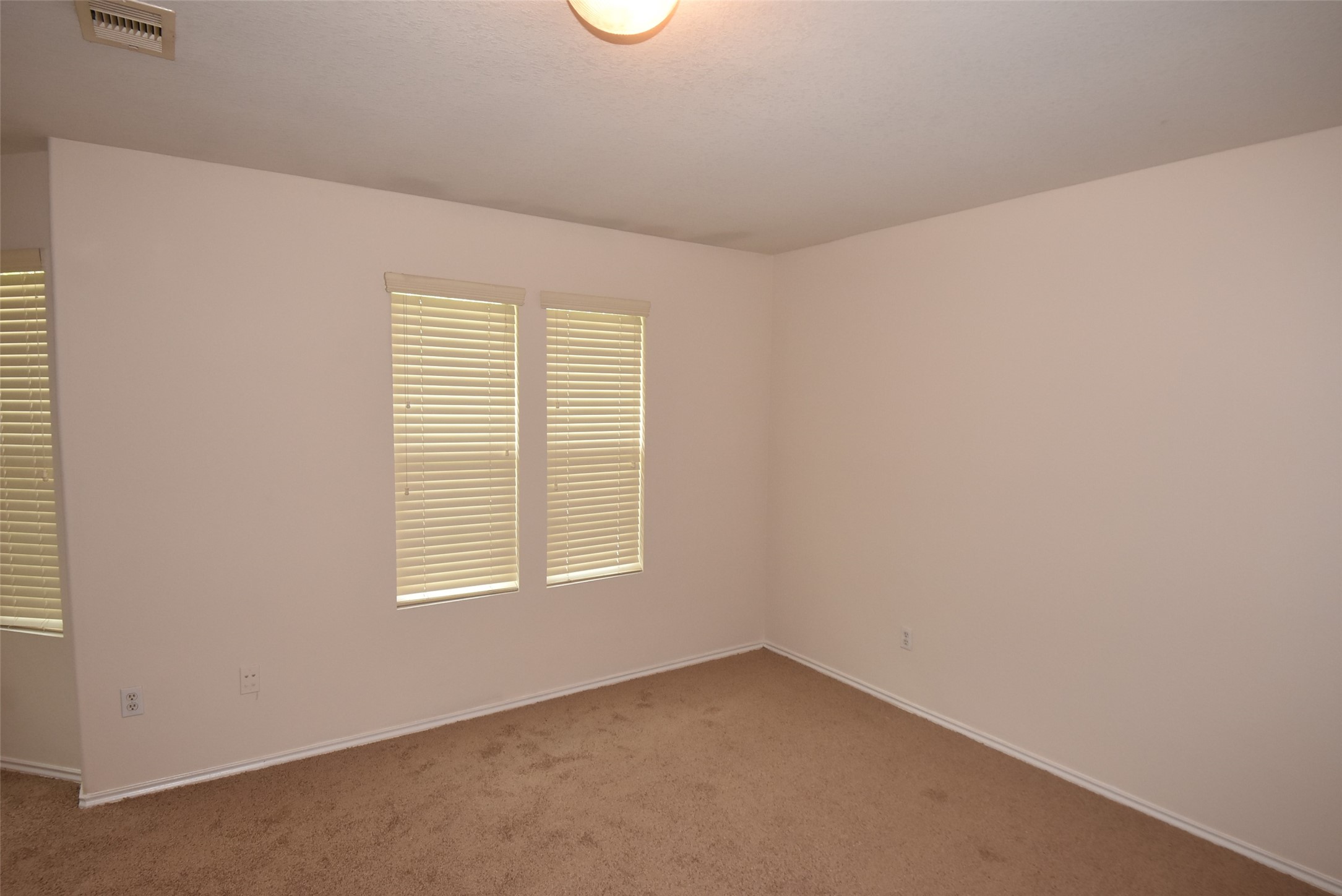 16807 Mammoth Springs Dr Property Photo 14