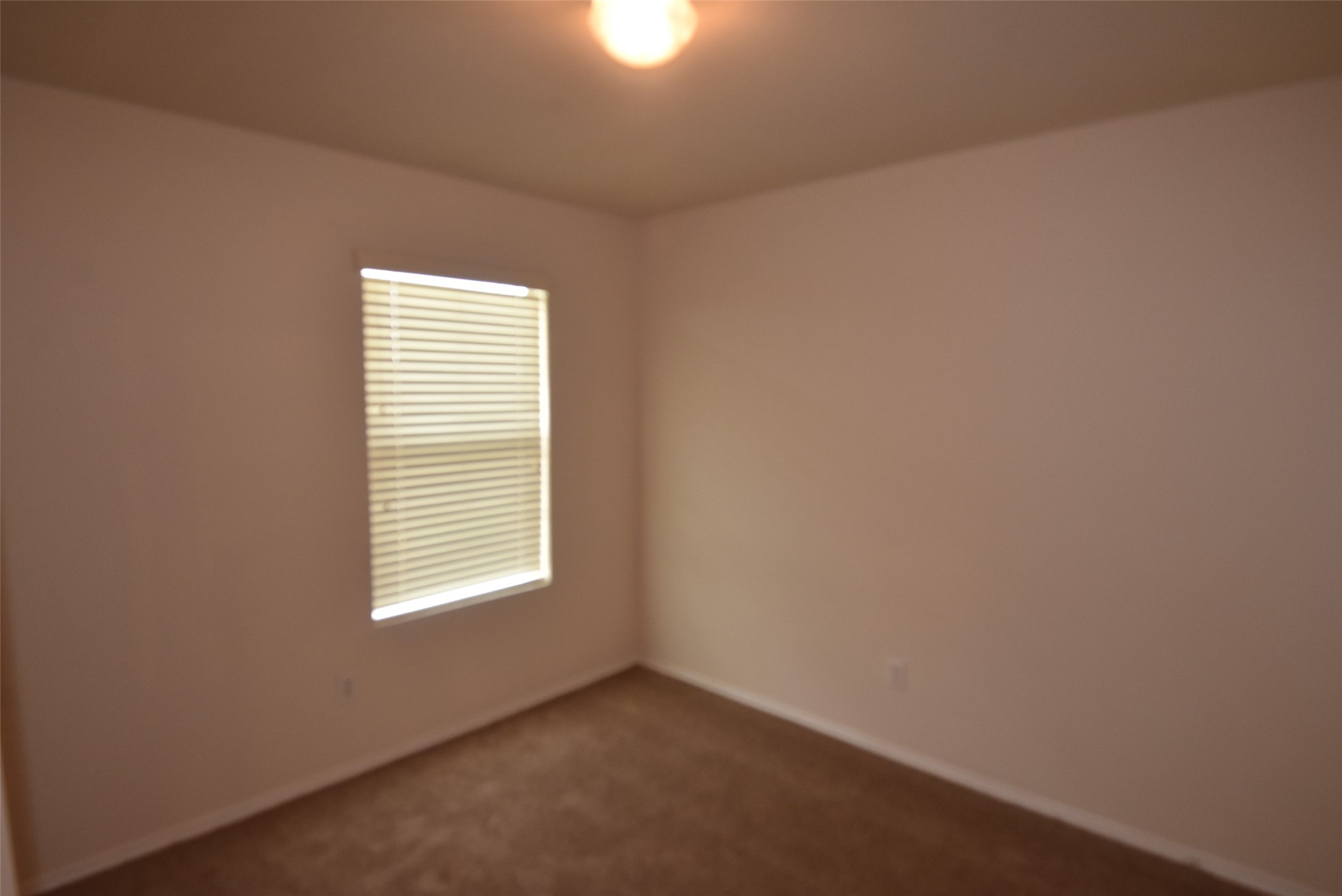 16807 Mammoth Springs Dr Property Photo 15