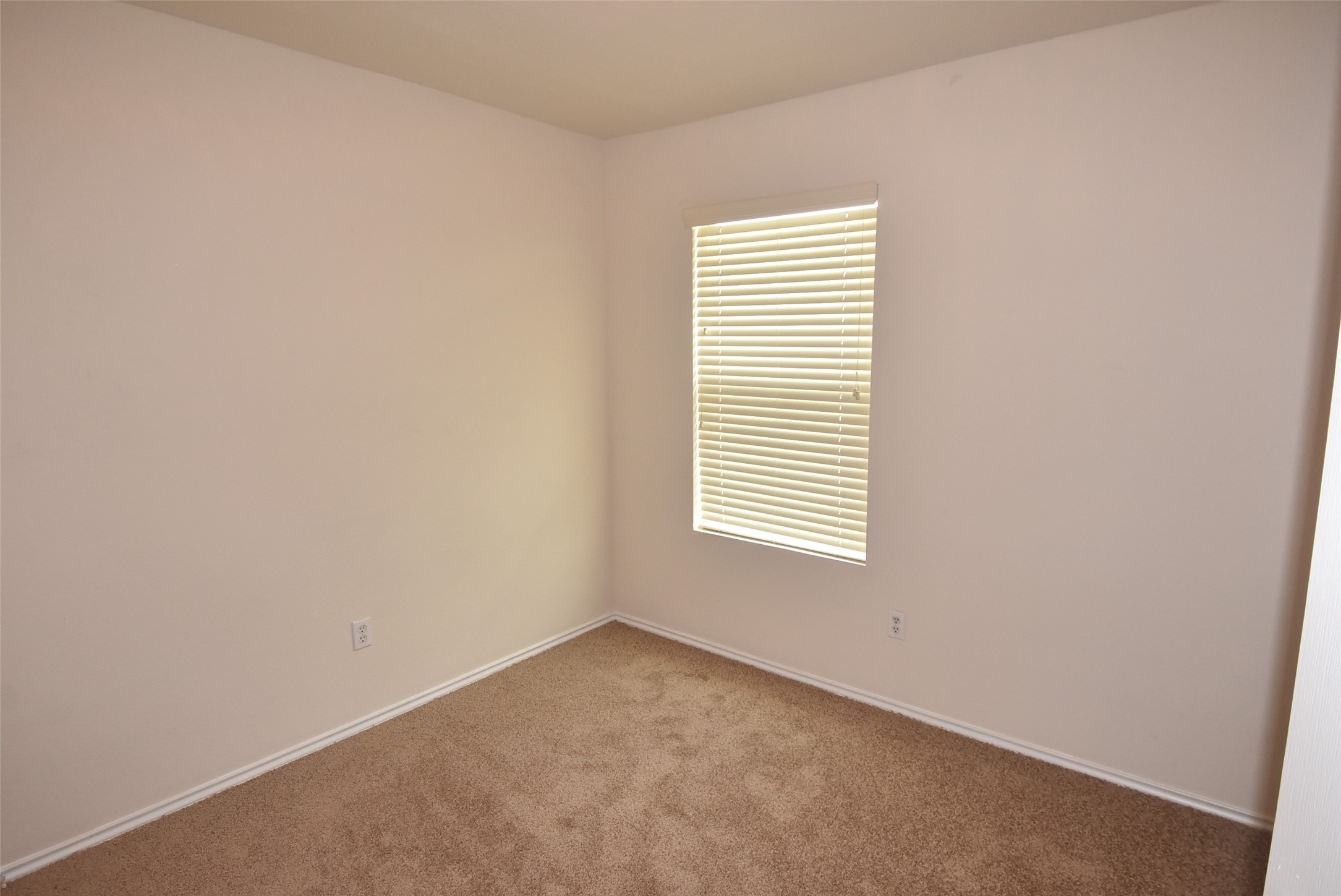 16807 Mammoth Springs Dr Property Photo 17