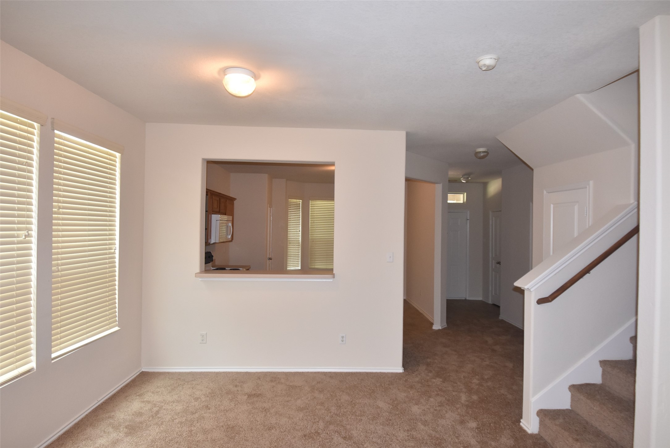 16807 Mammoth Springs Dr Property Photo 18